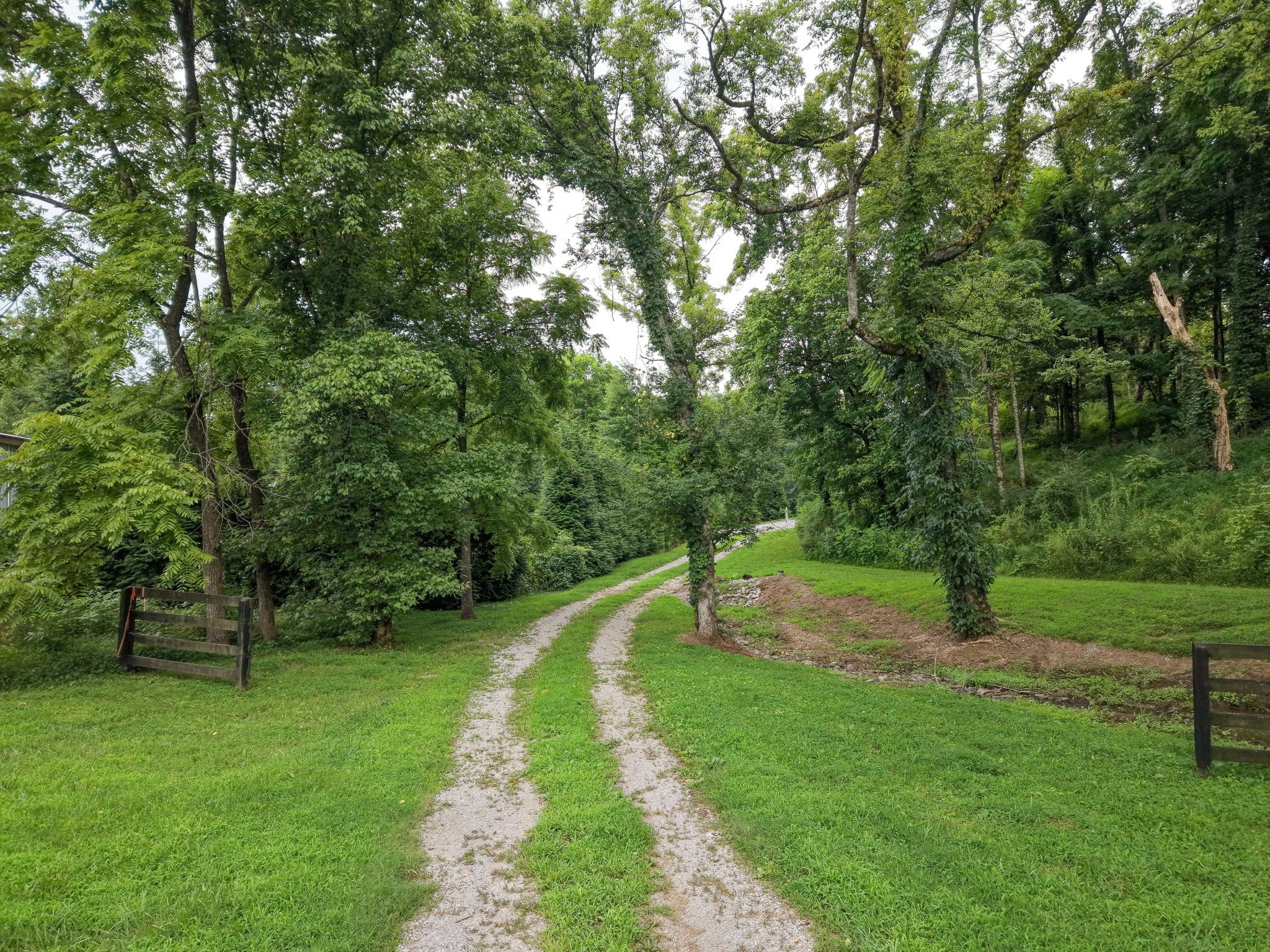 lot for sale in College Grove, TN 37046, 6448 Nathan Smith Rd 6448 Nathan Smith Rd, College Grove TN 37046 lot, photo 4 of 48