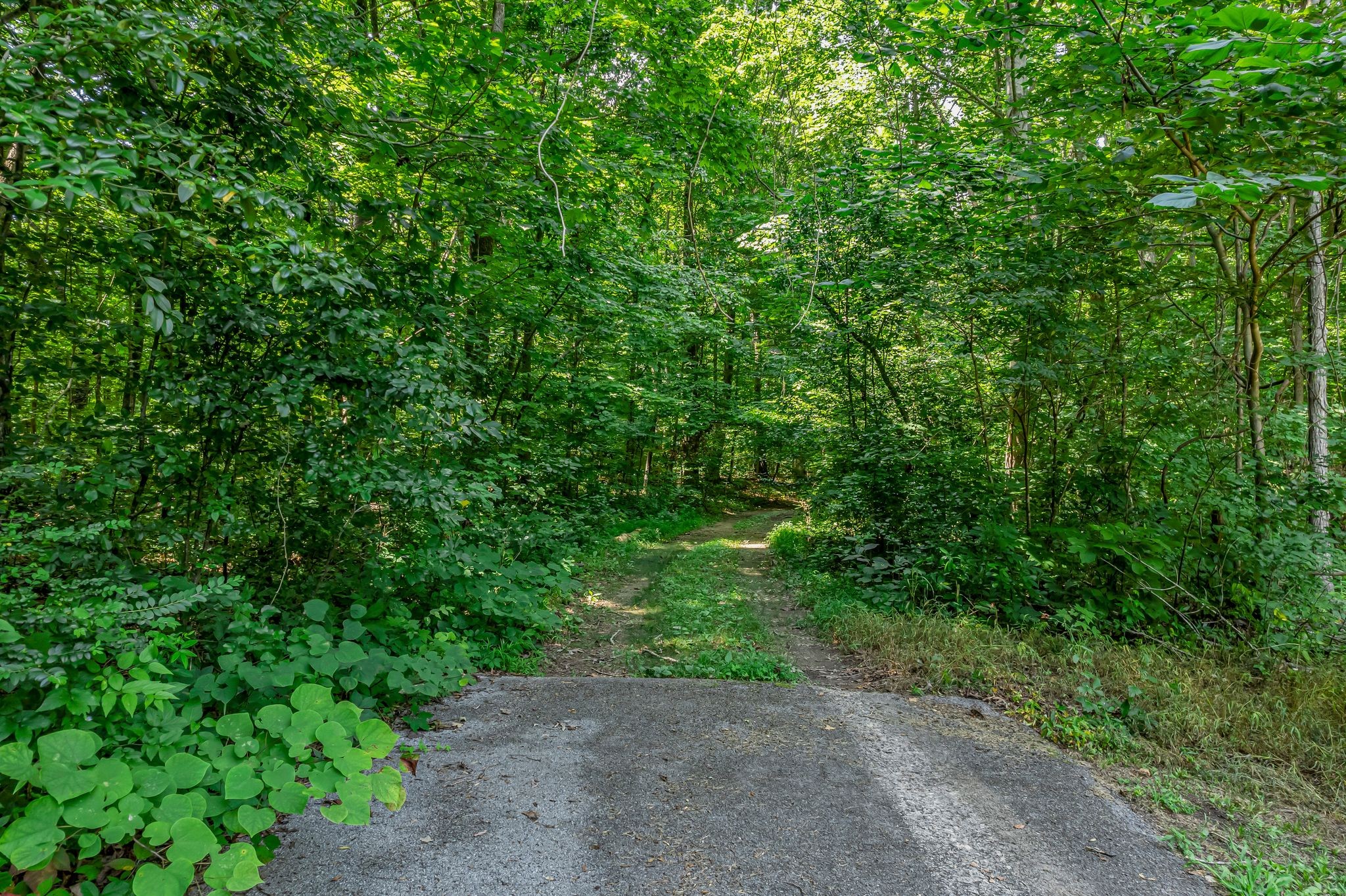 0 Scenic Rd