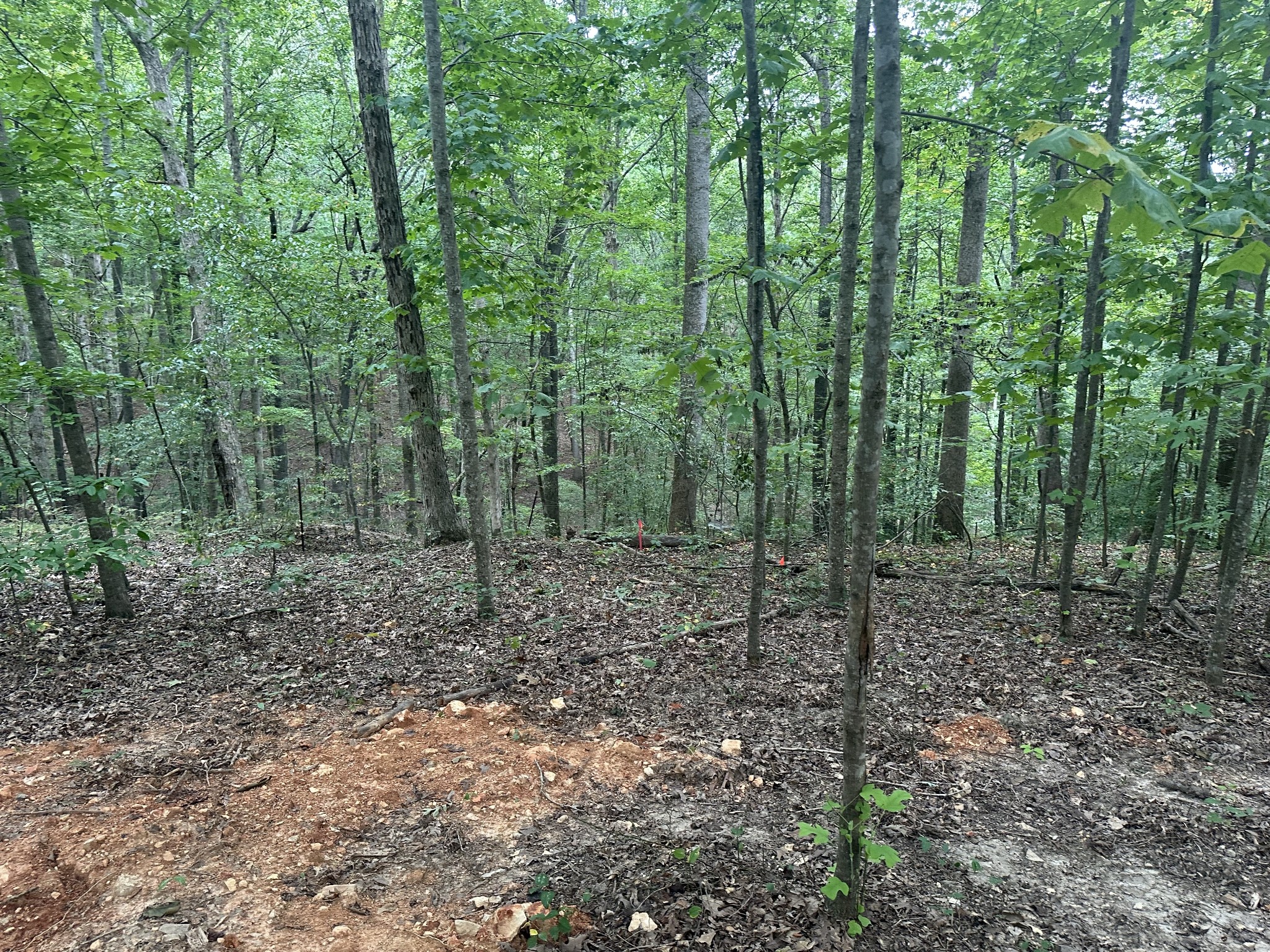 5717 Quest Ridge Rd