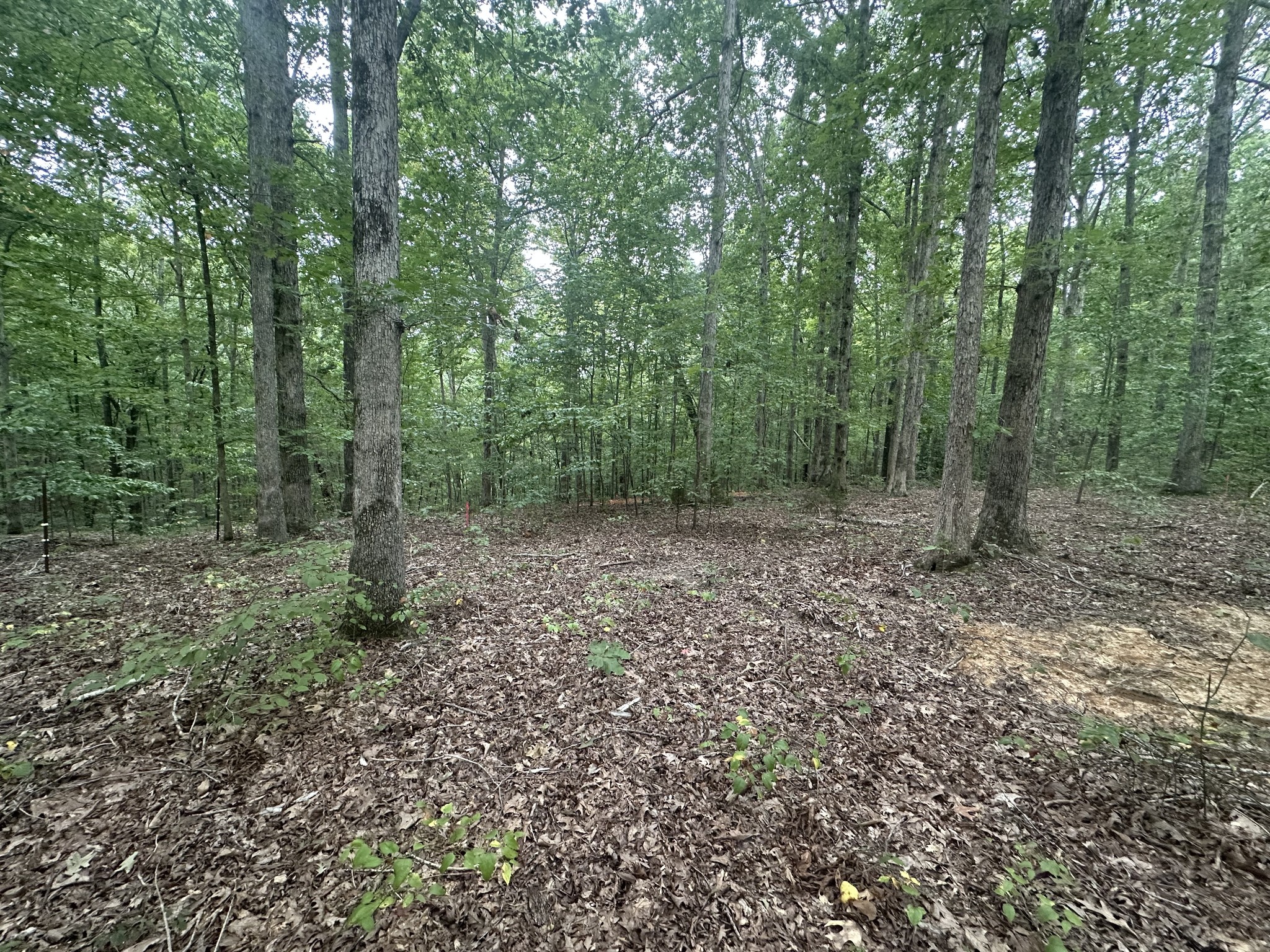5717 Quest Ridge Rd