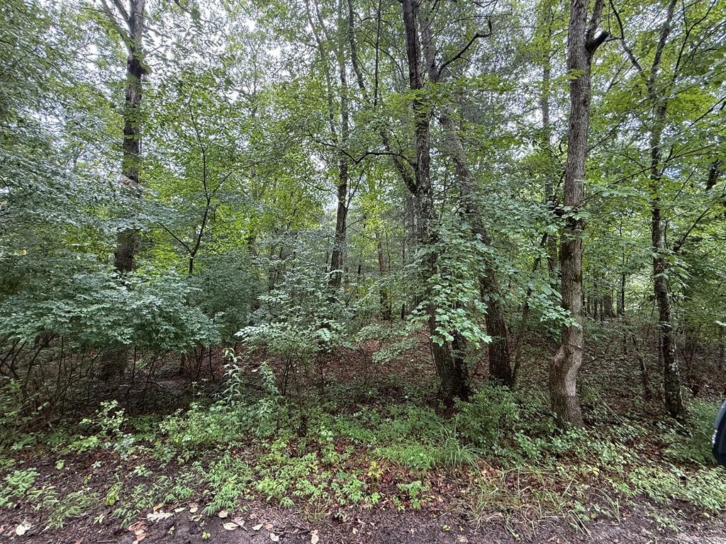 3040 Oklahoma Dr