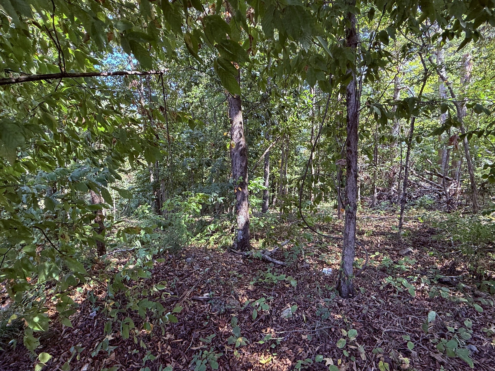 510 Big Richland Dr