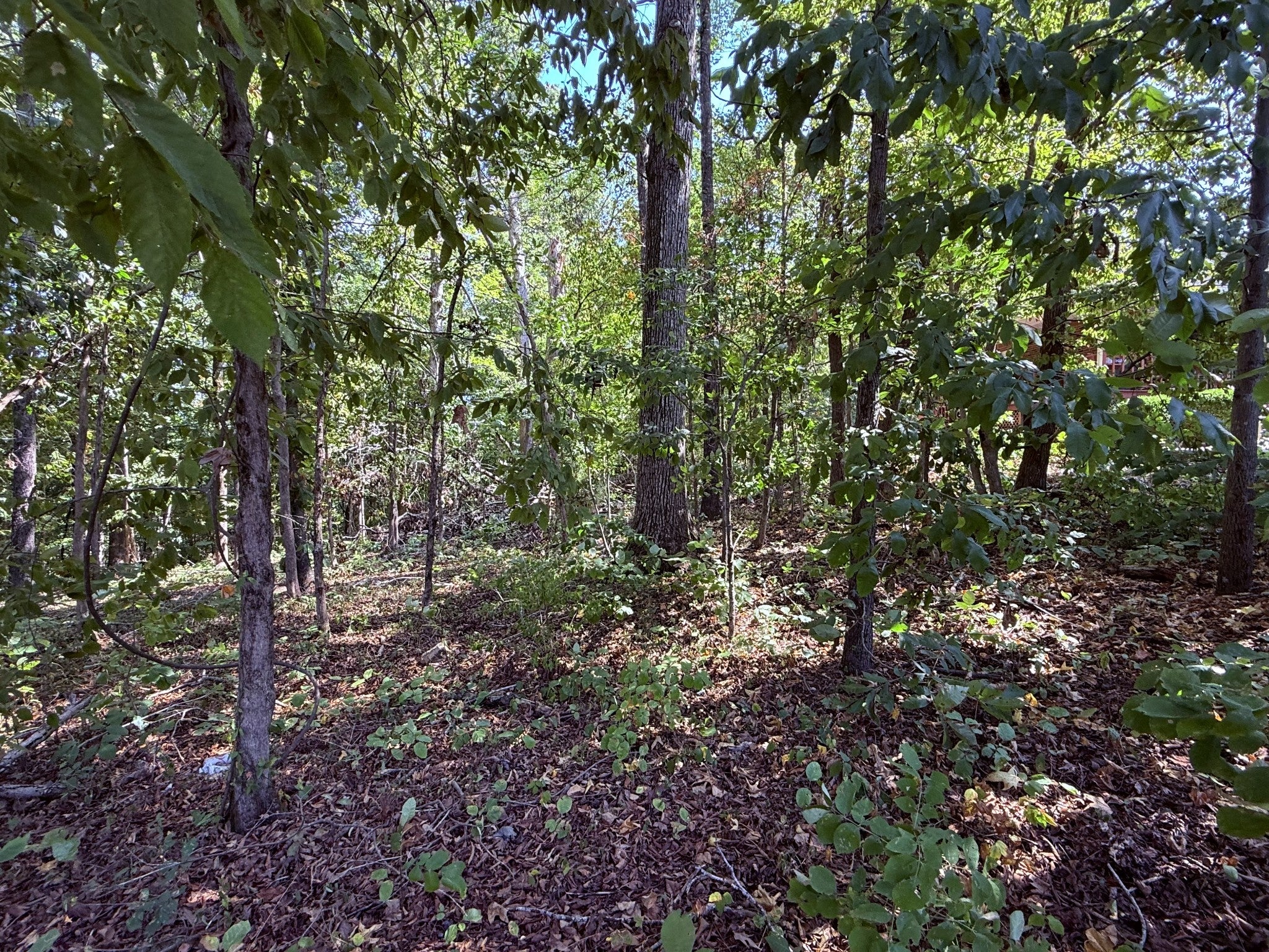 510 Big Richland Dr