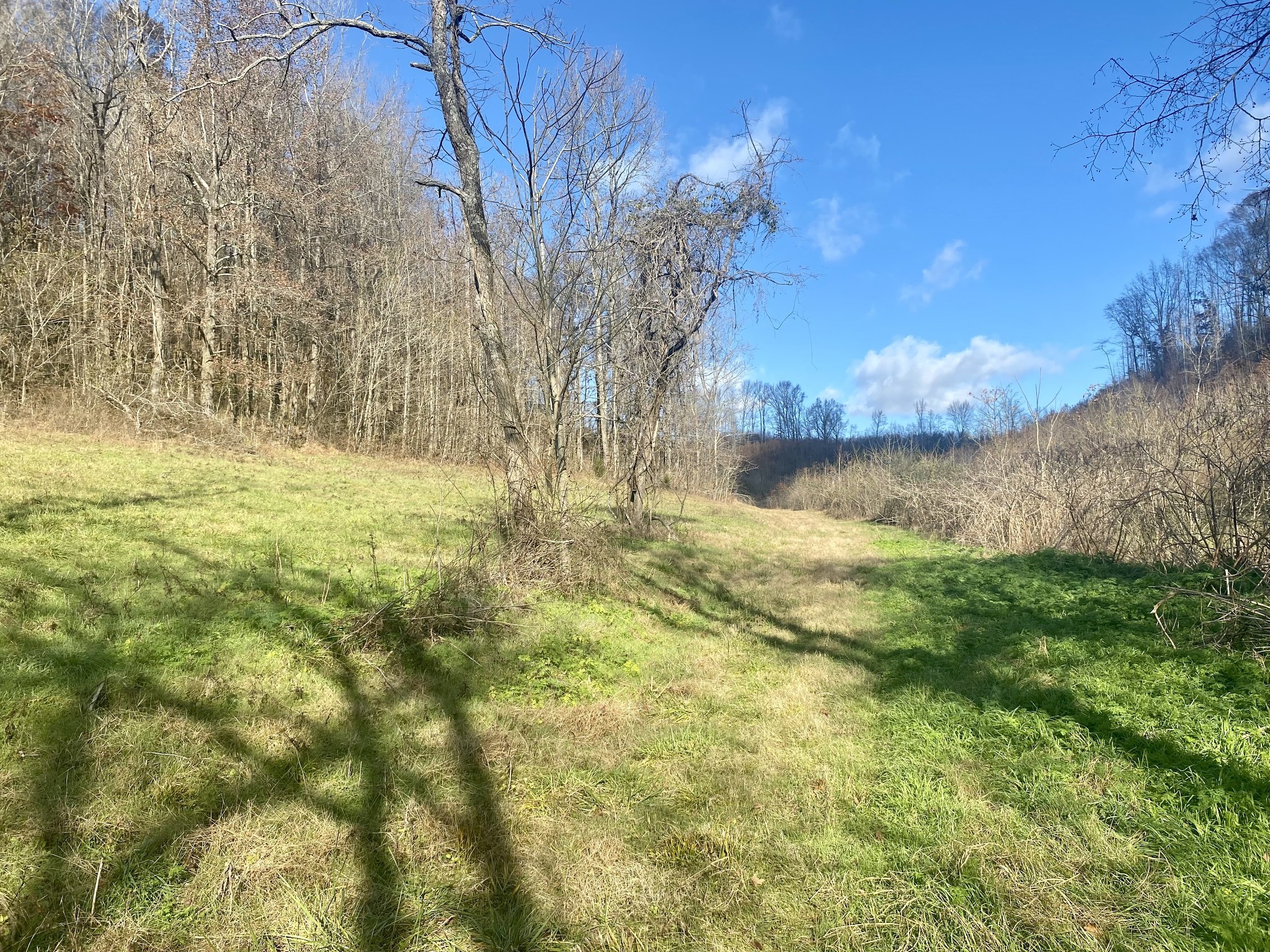 4570 Highway 64 E