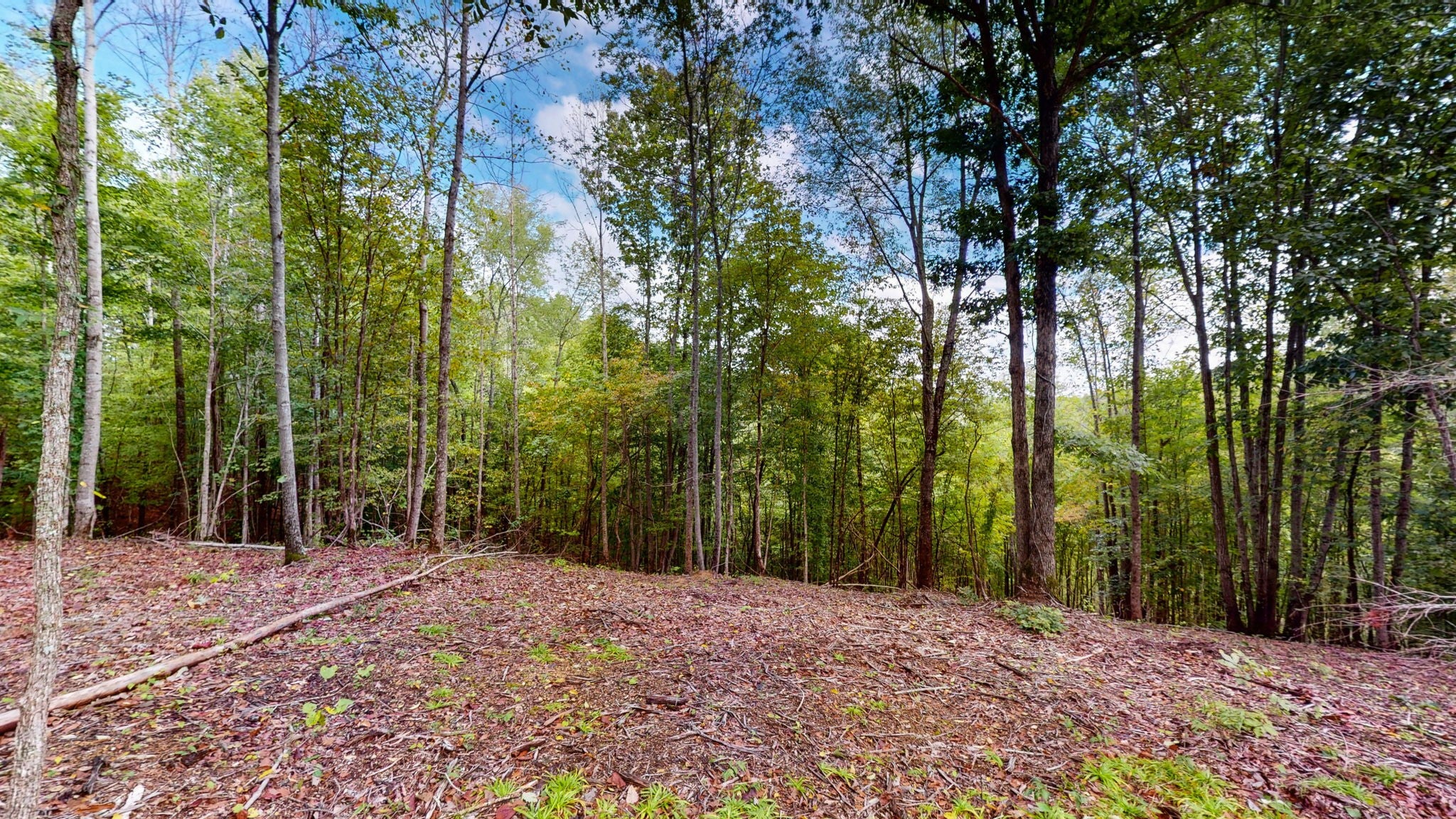 352 Briarwood Dr