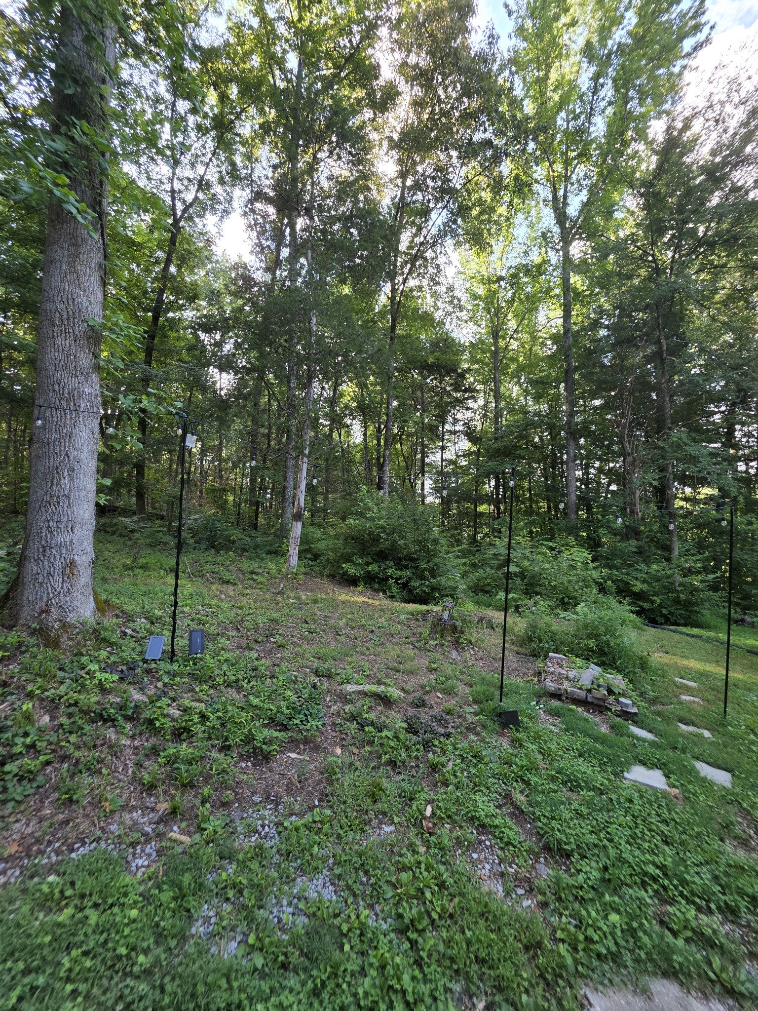 4980 Louise Creek Rd