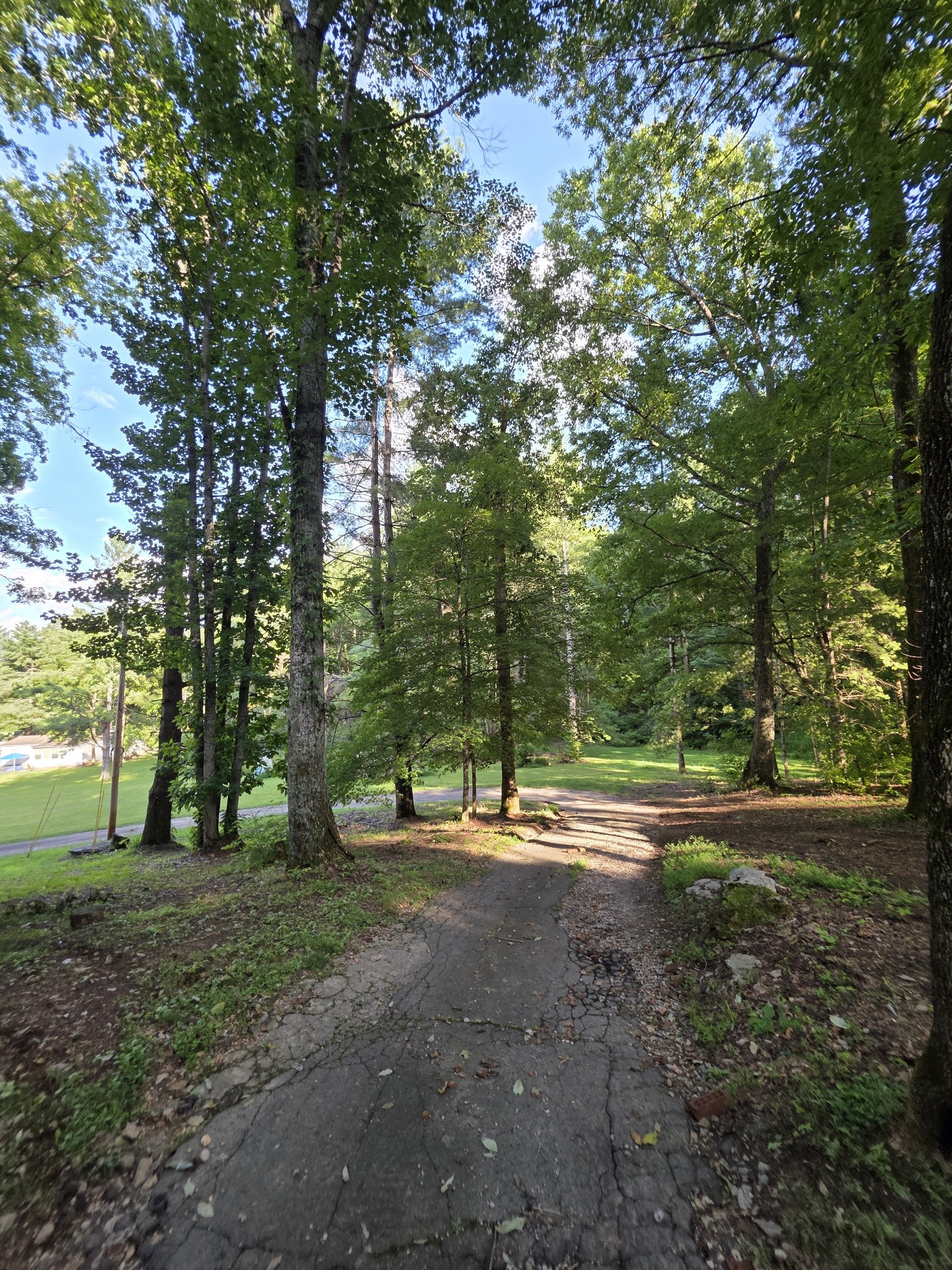 4980 Louise Creek Rd