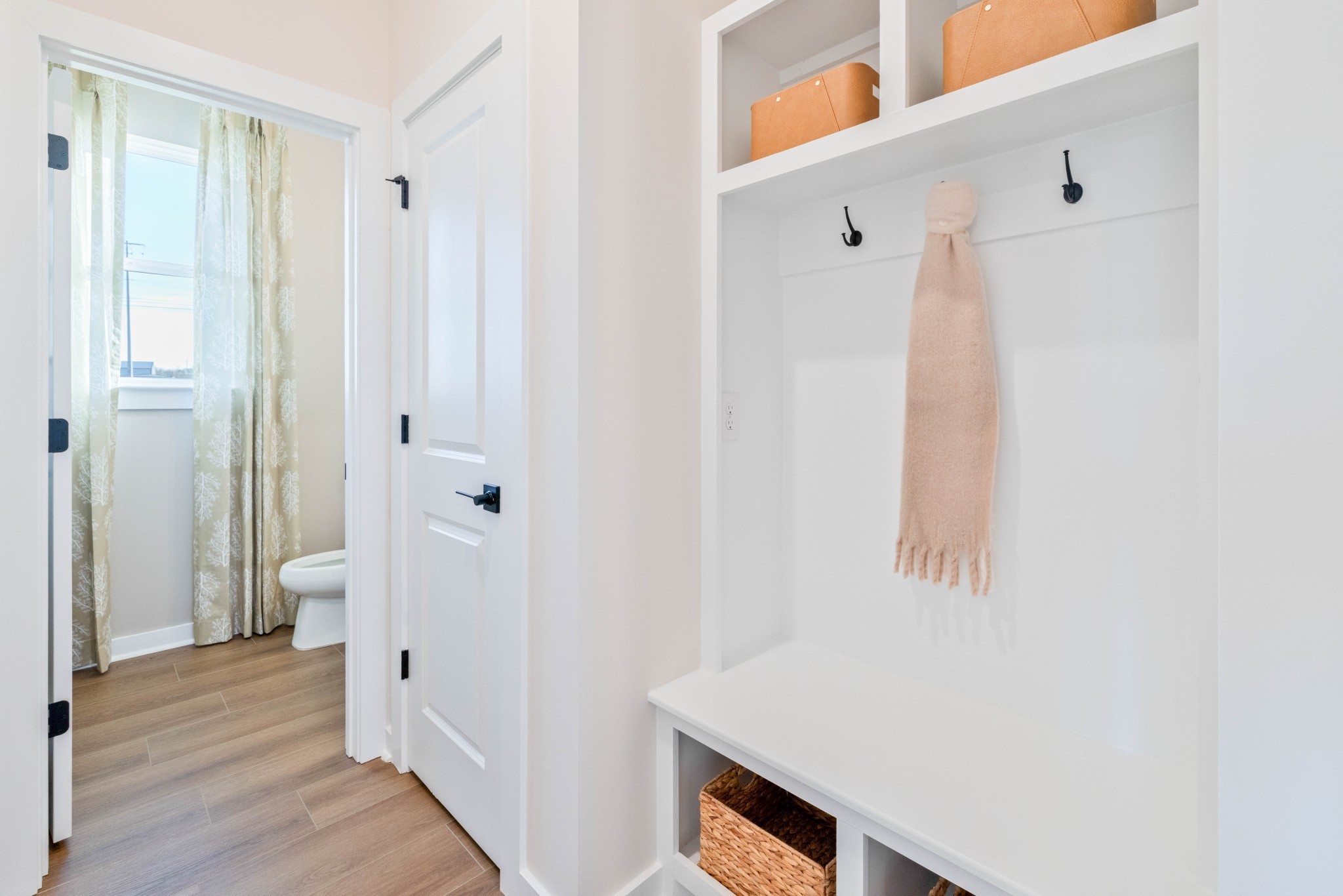 4150 Dream Beetle Loop