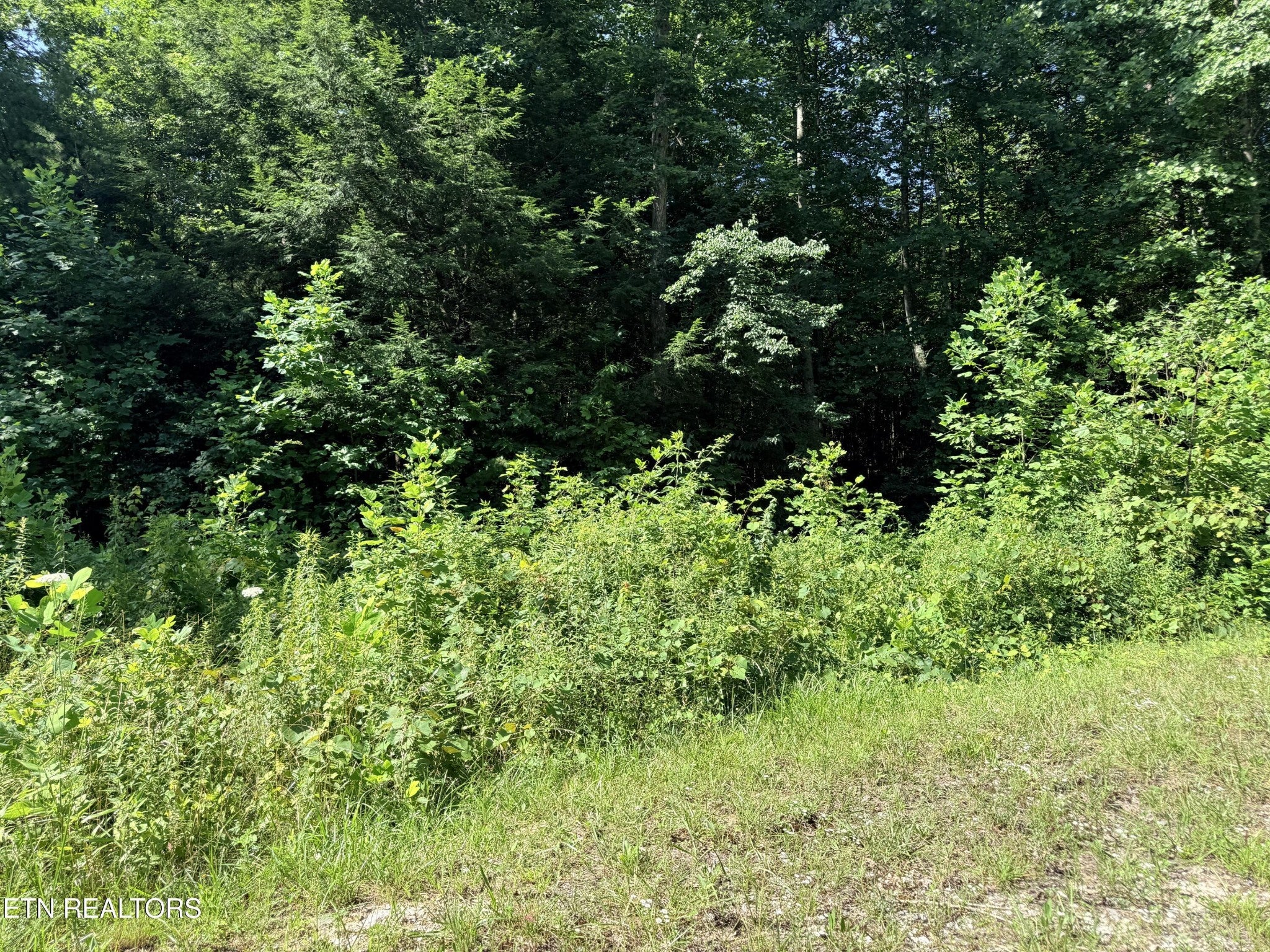 760 Dubose Drive