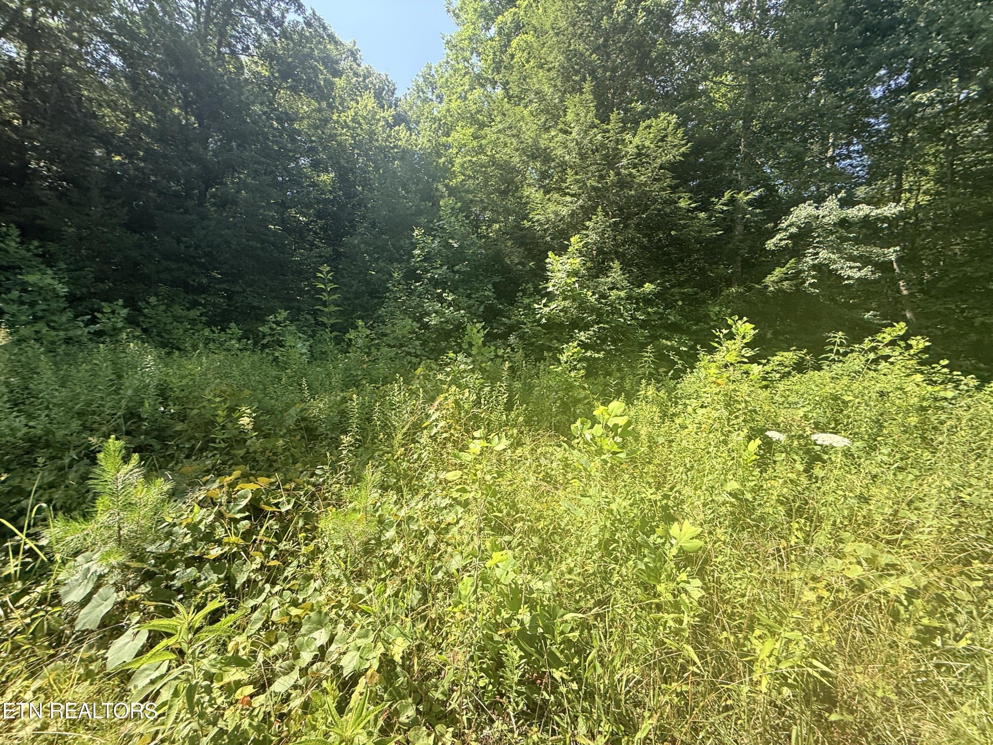 760 Dubose Drive