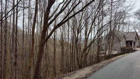 35 Bay View Dr Lancaster TN 38569