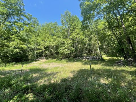 2400 Chicken Creek Rd Pulaski TN 38478