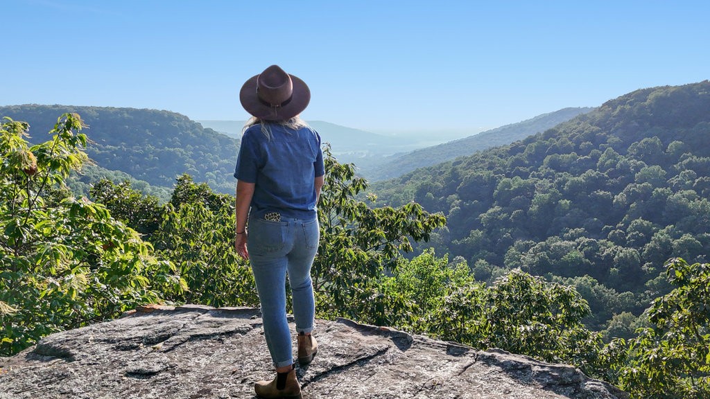 354 Little Trees Ramble