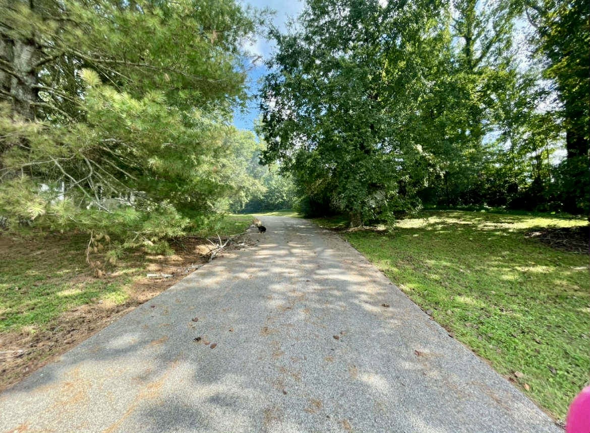 1623 Industrial Loop Rd