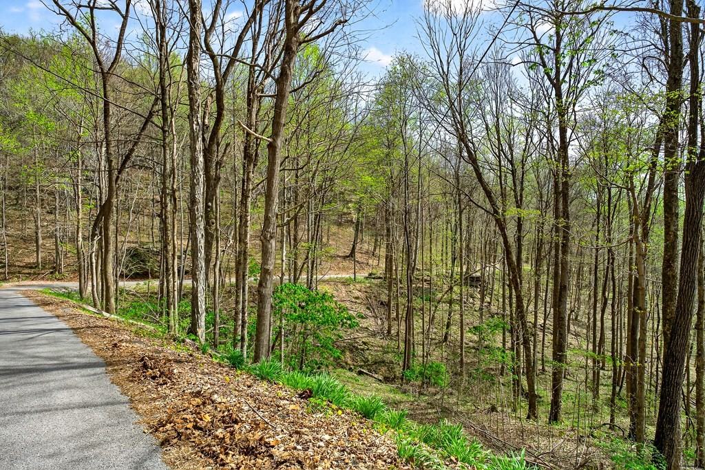 0 White Oak Flatt Road