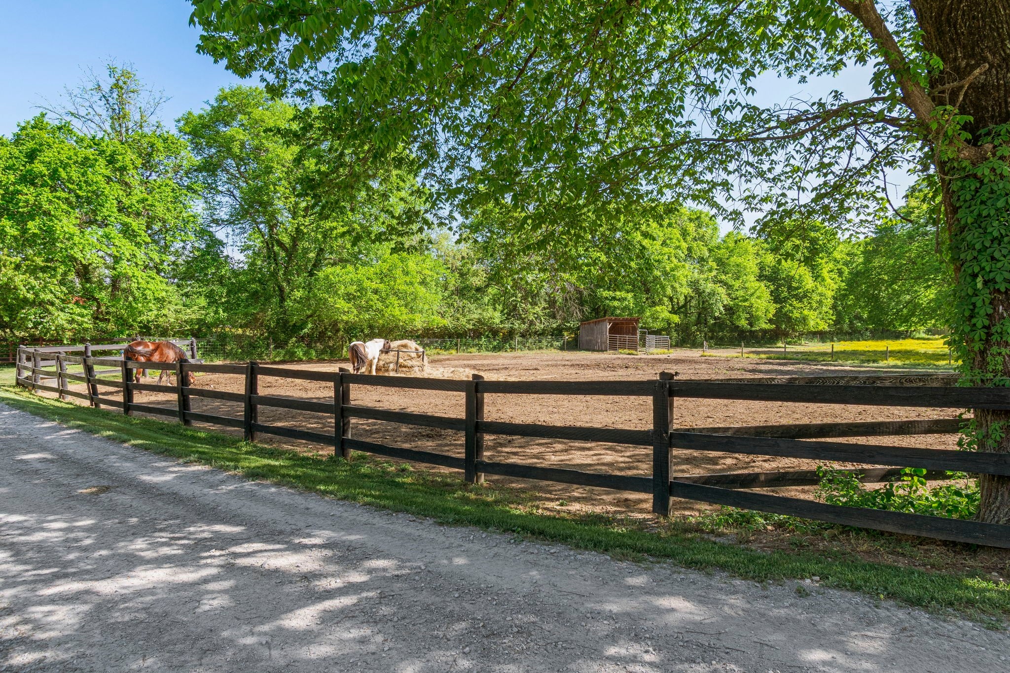 300 Gunter Smith Rd