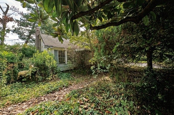 204 Scalf Dr