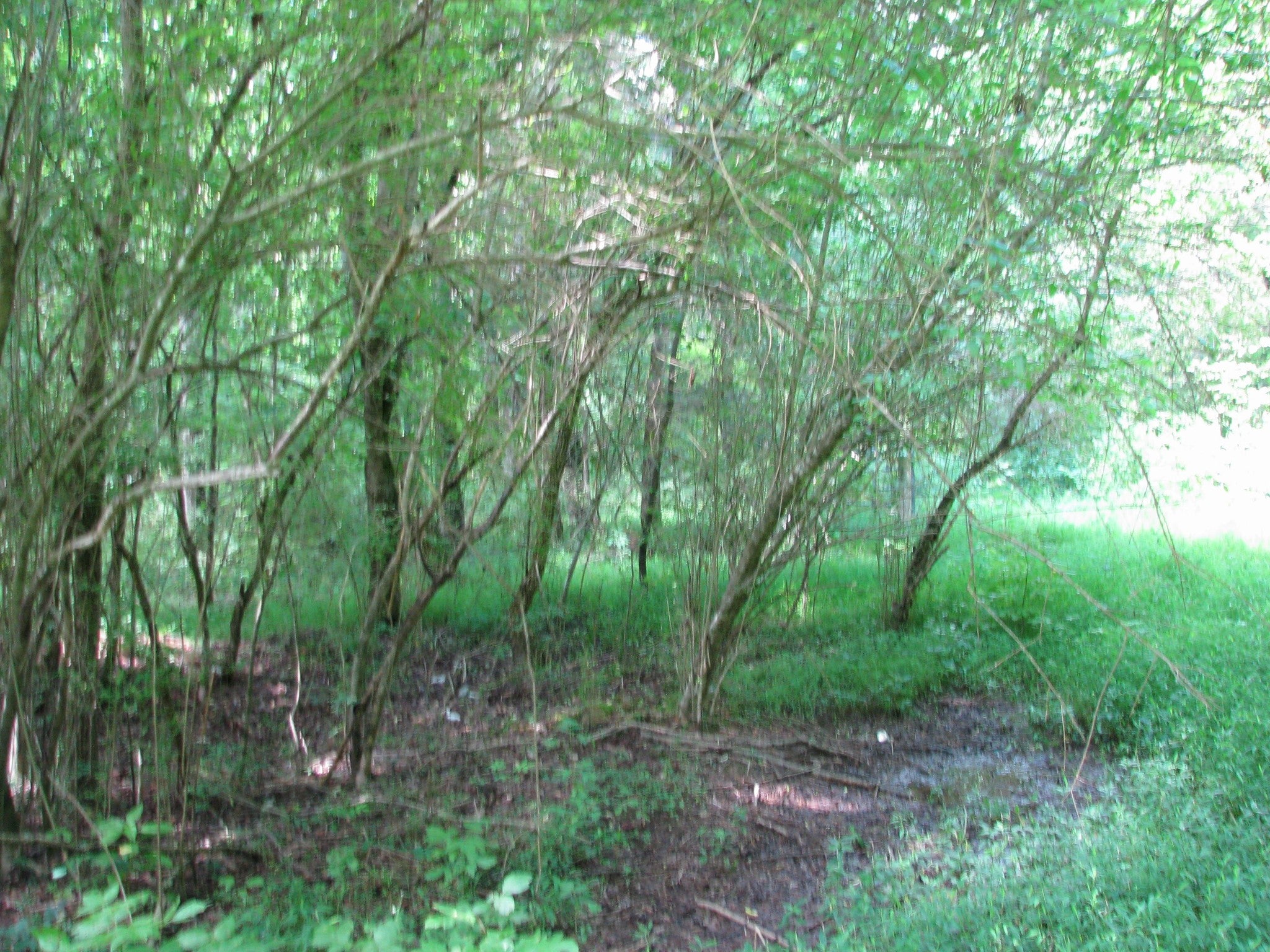 0 Matthews Hollow Rd