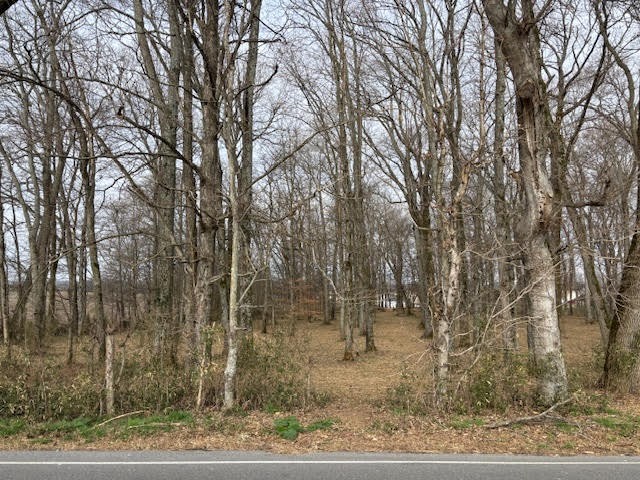 529 Greenfield Ln