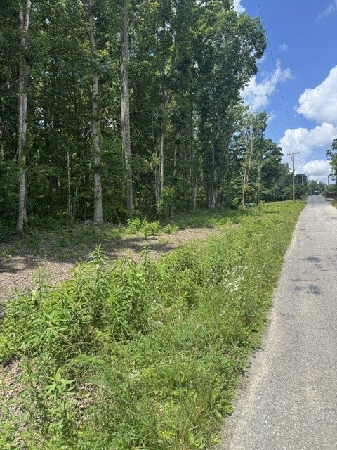 0 East Fork Ln
