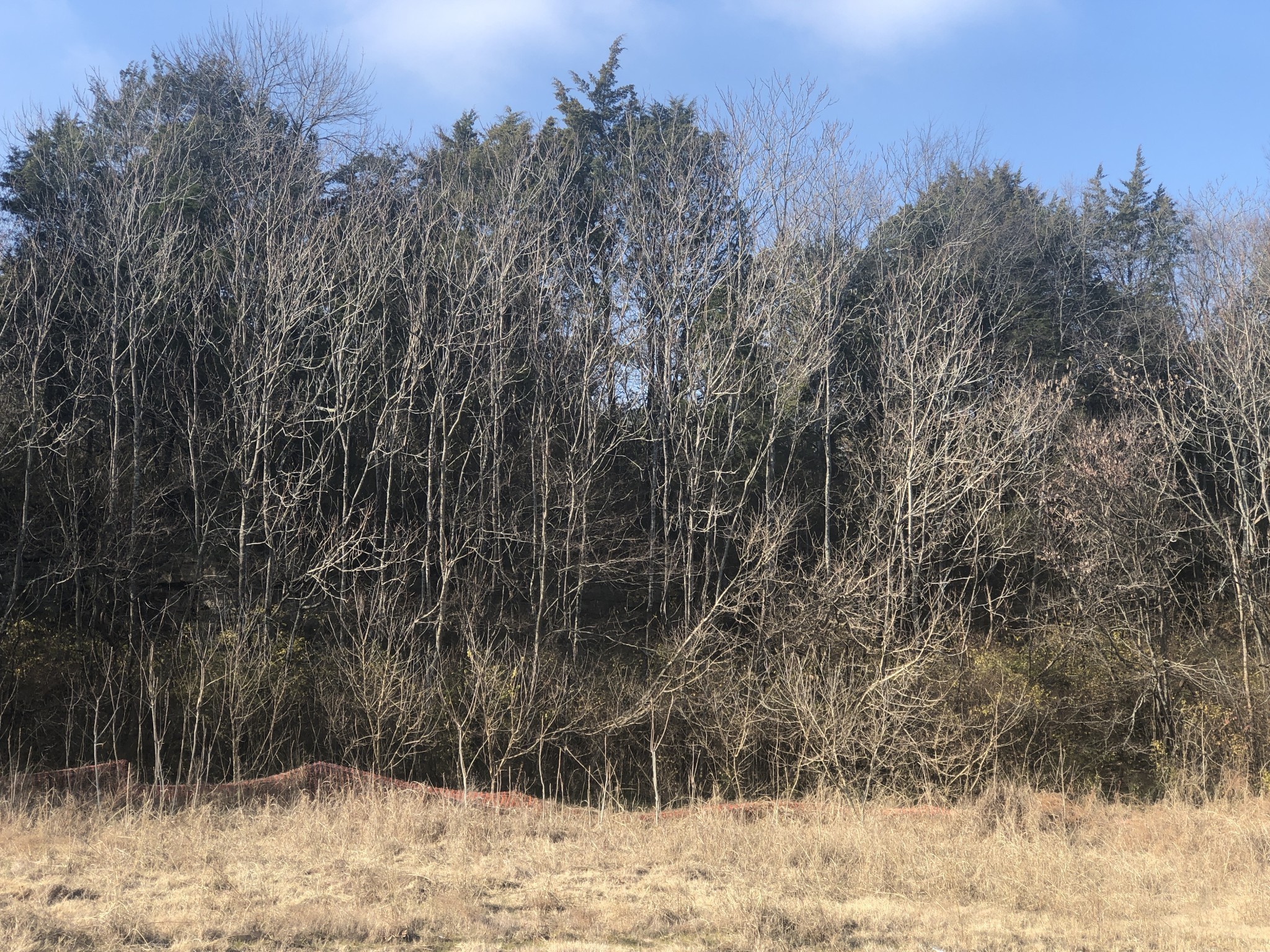 433 Old Hickory Blvd