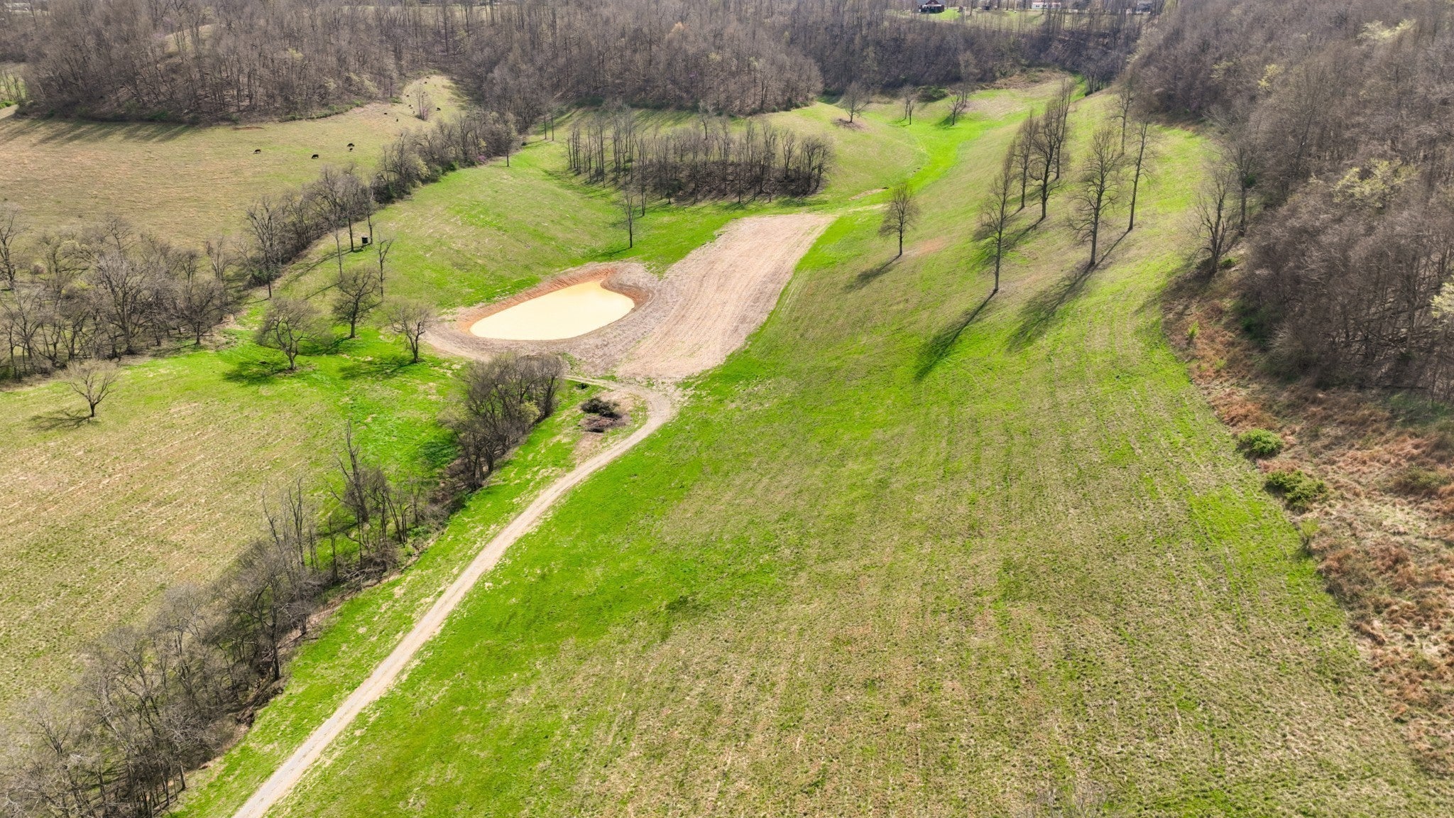 3201 Hwy 231 S