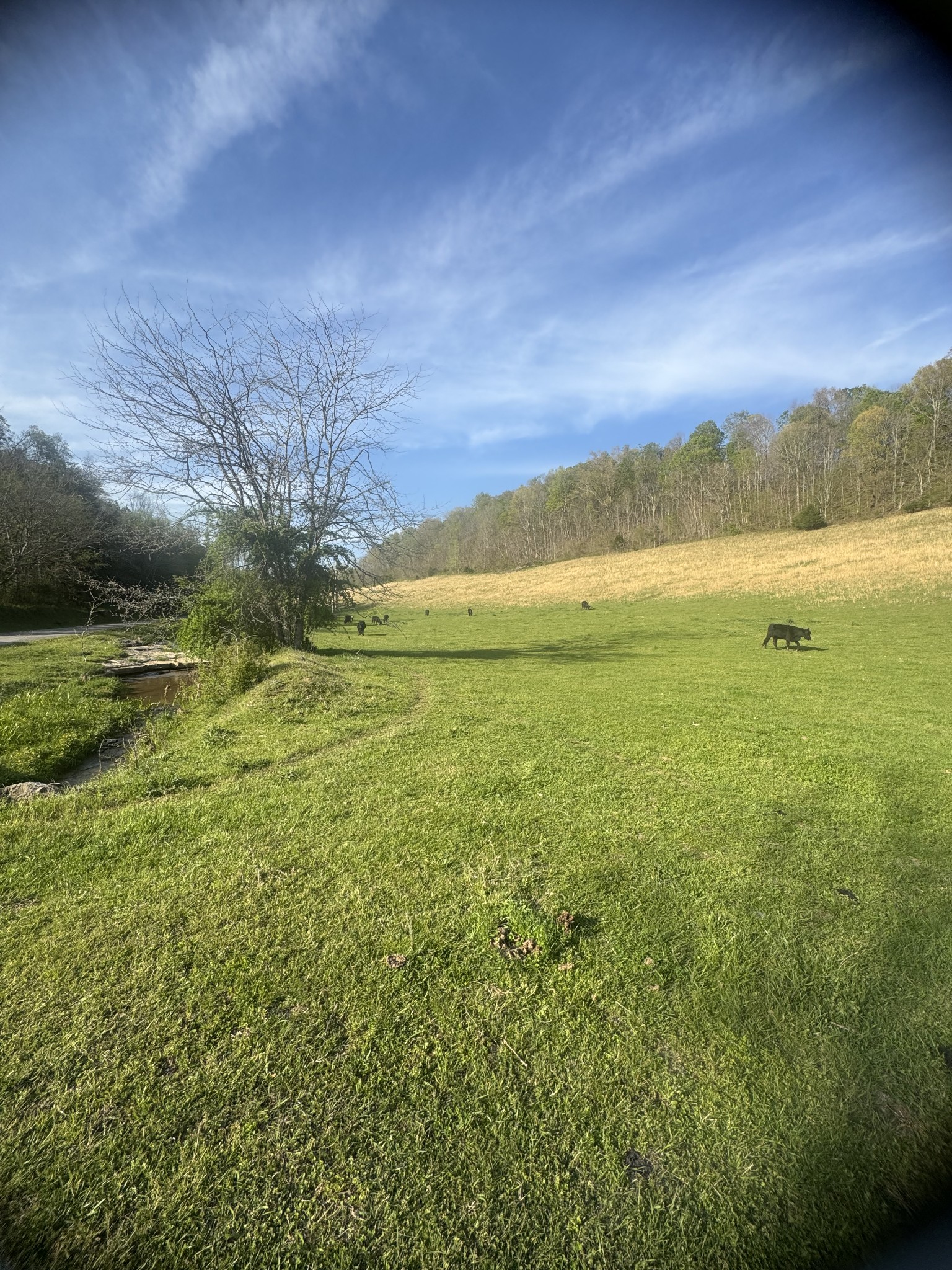 0 Tillman Hollow Road