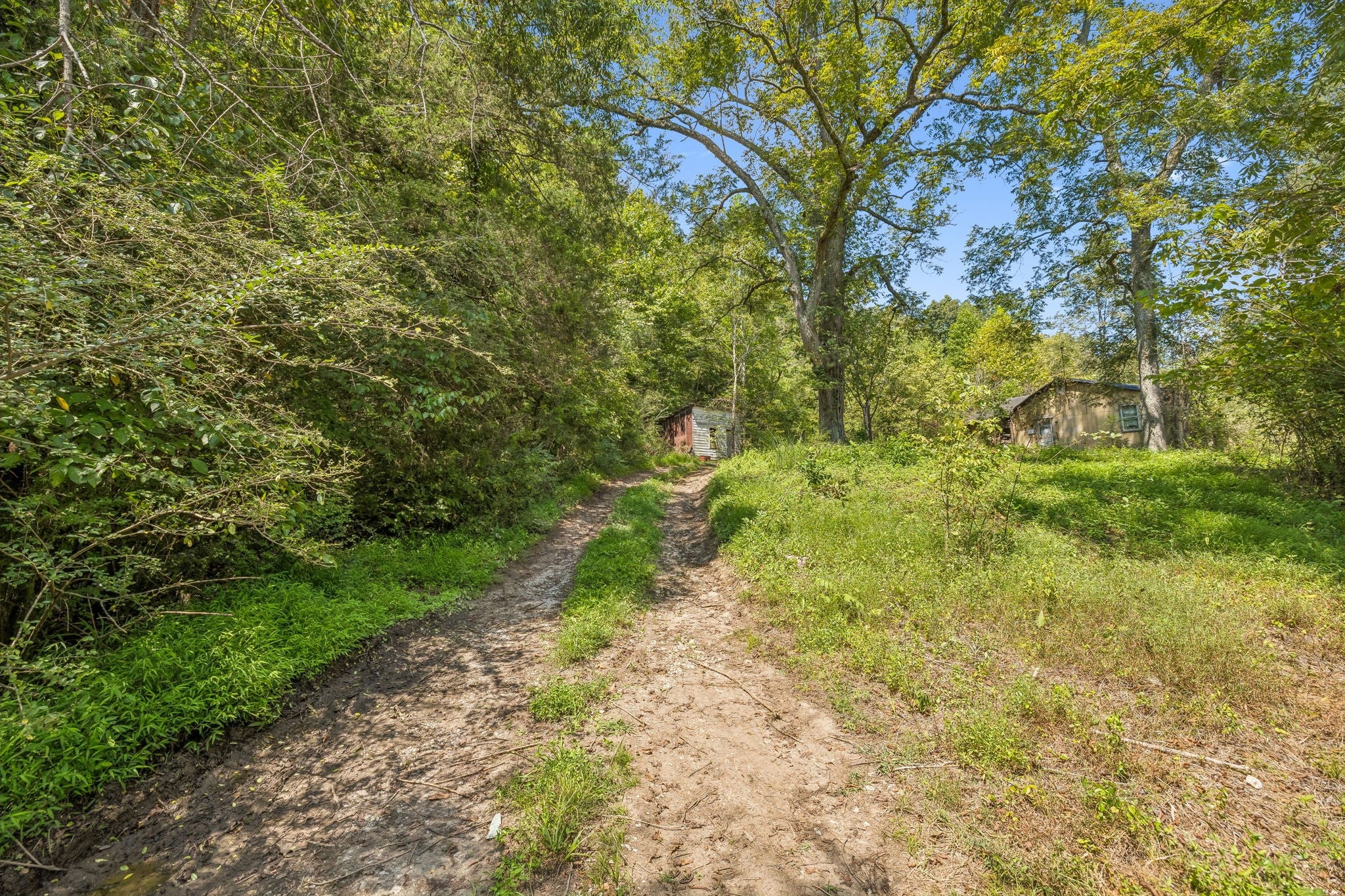 5877 Campbellsville Pike