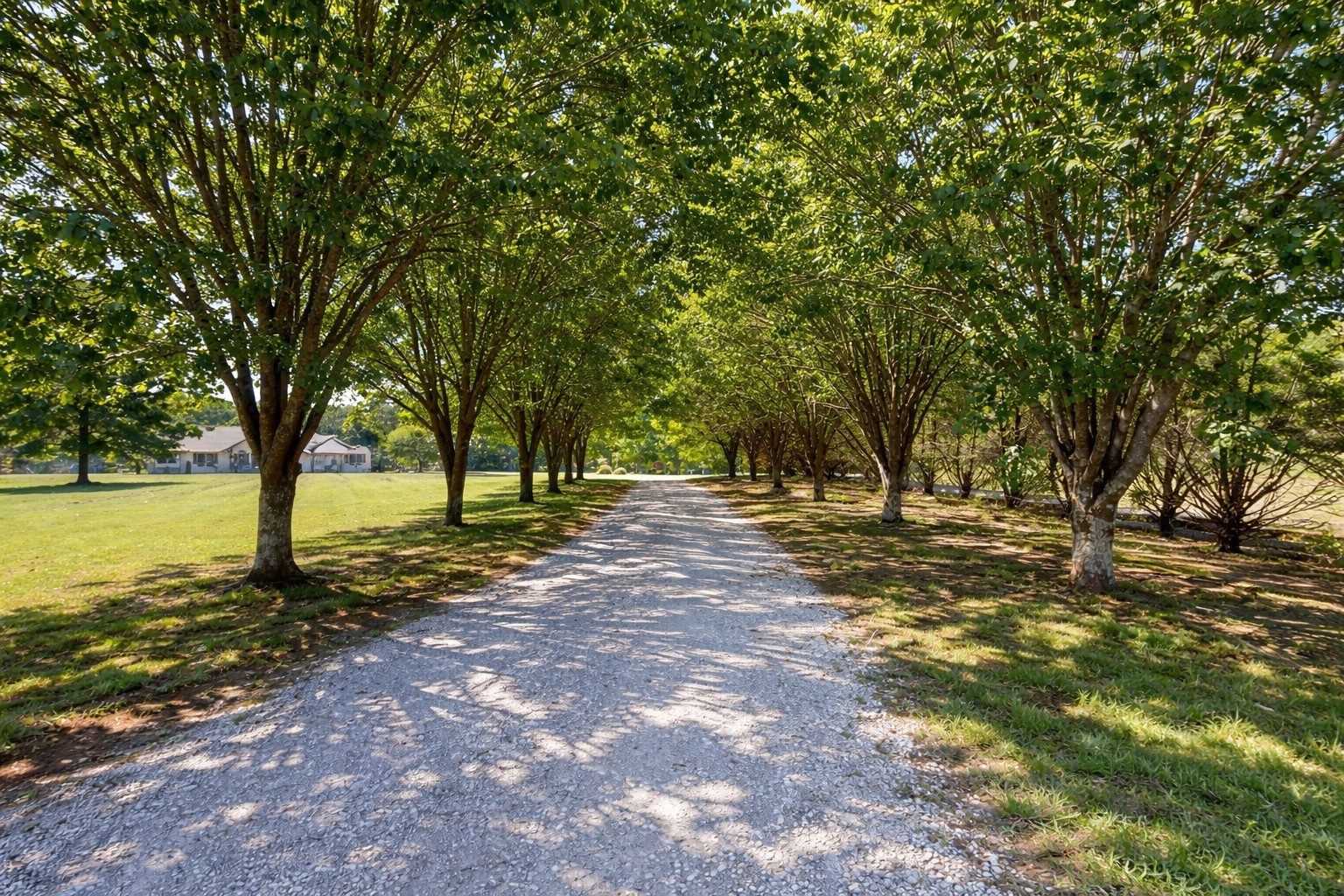 2622 Poplar Knoll Dr