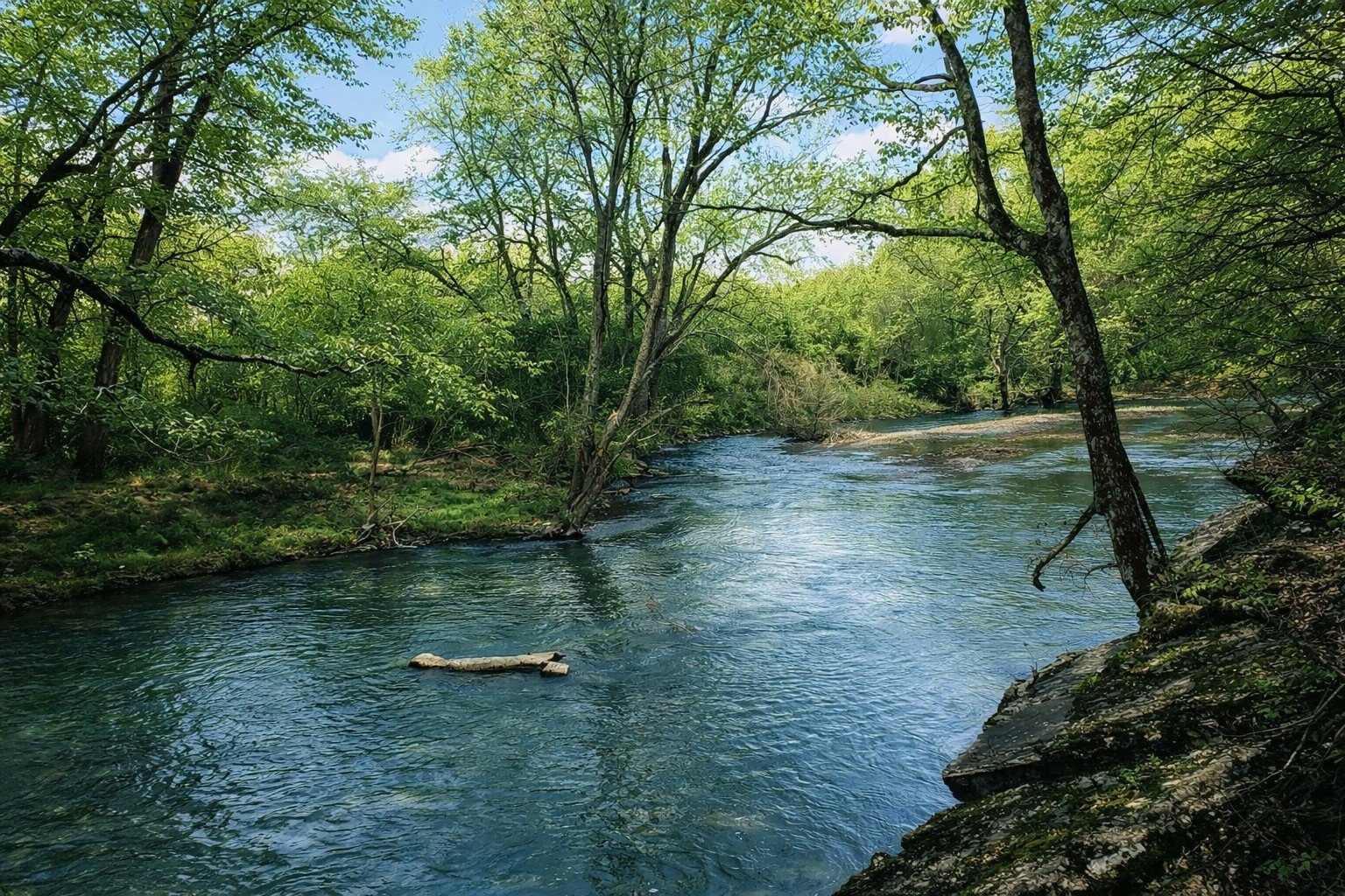 2622 Poplar Knoll Dr