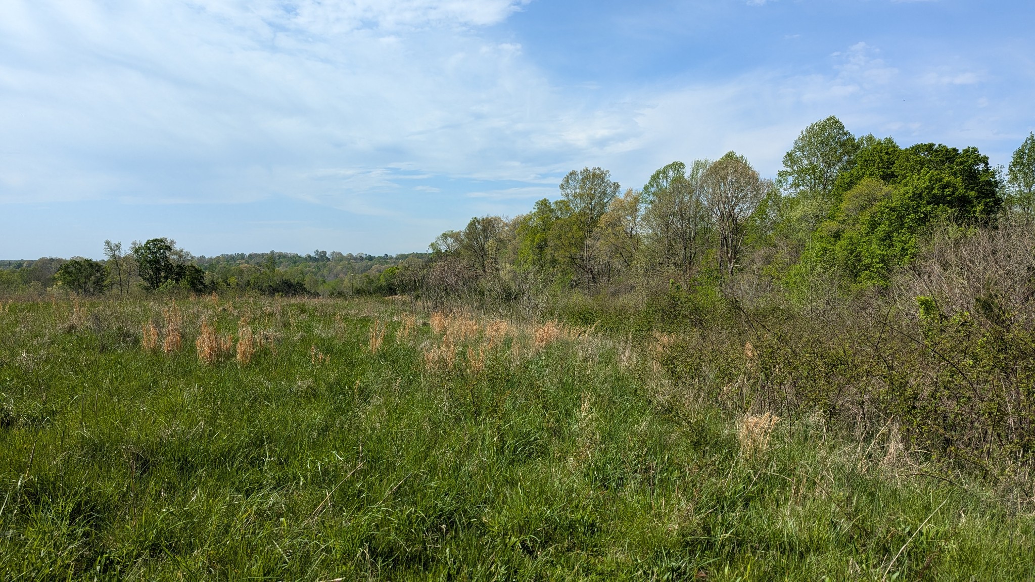 0 Meadows Rd