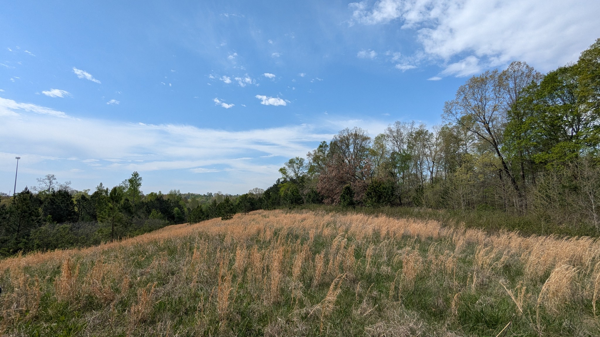 0 Meadows Rd