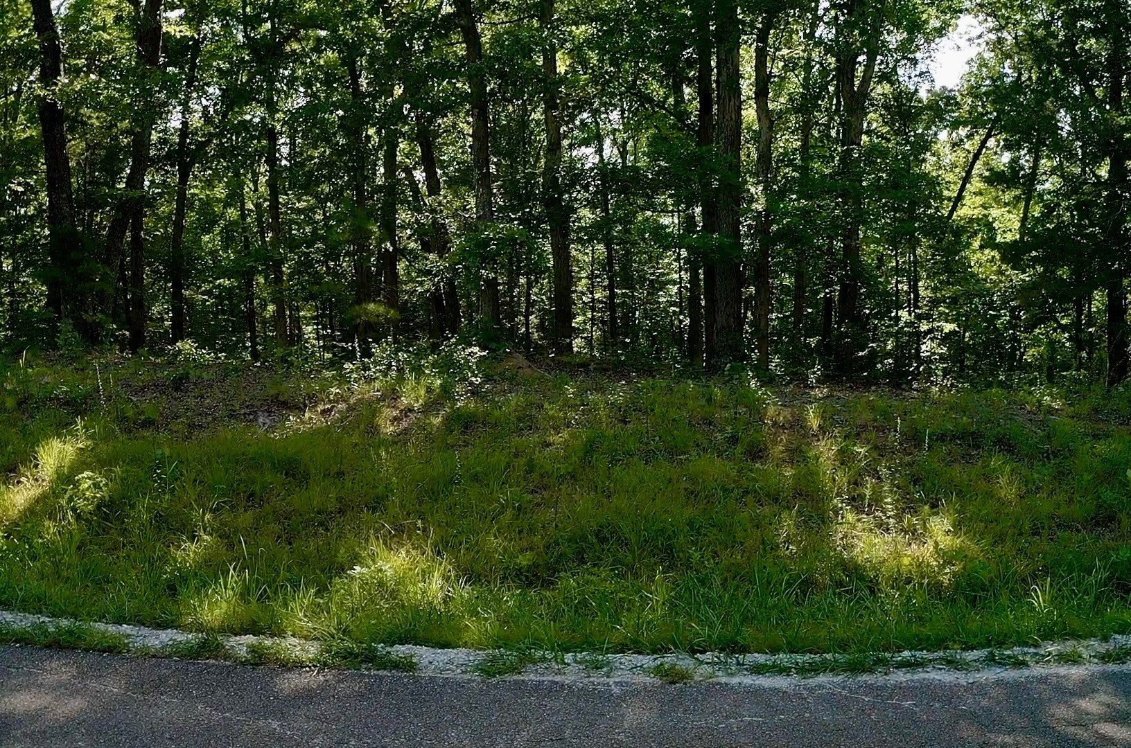 0 Jeanette Holladay Rd