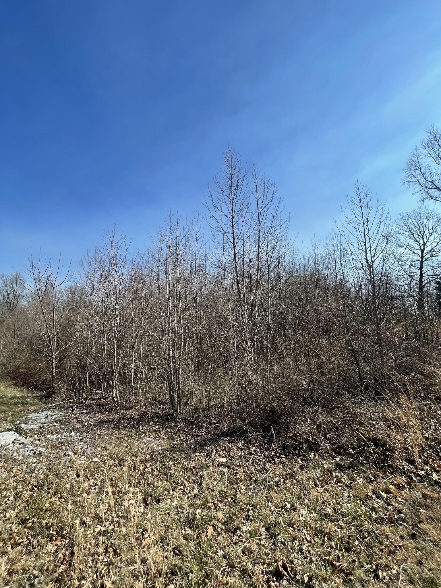 0 Hunters Landing Dr