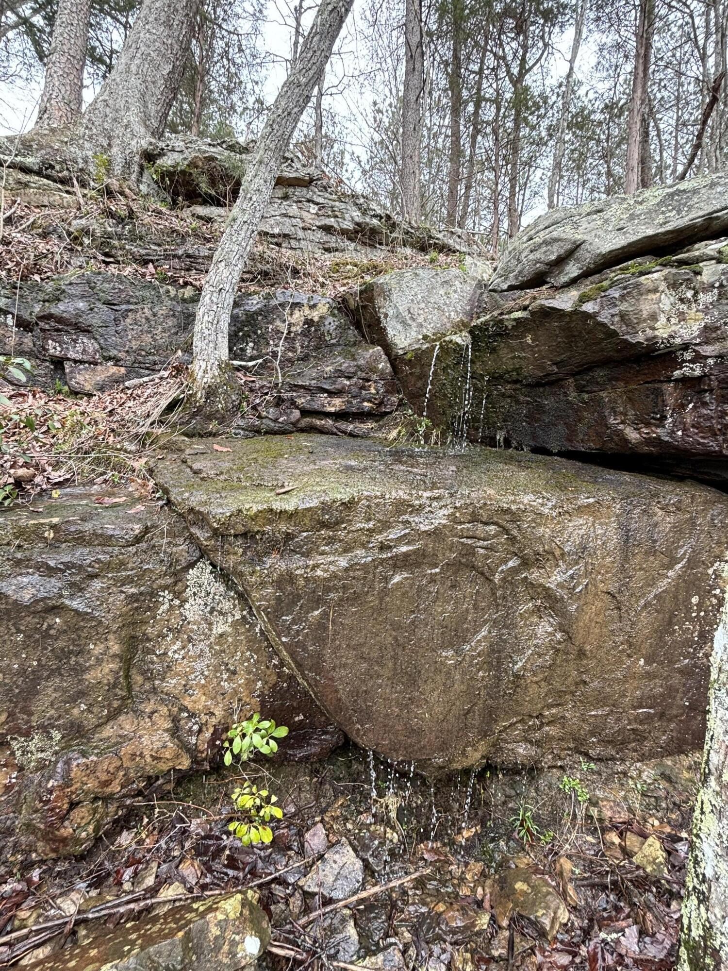 0 Raulston Falls Road