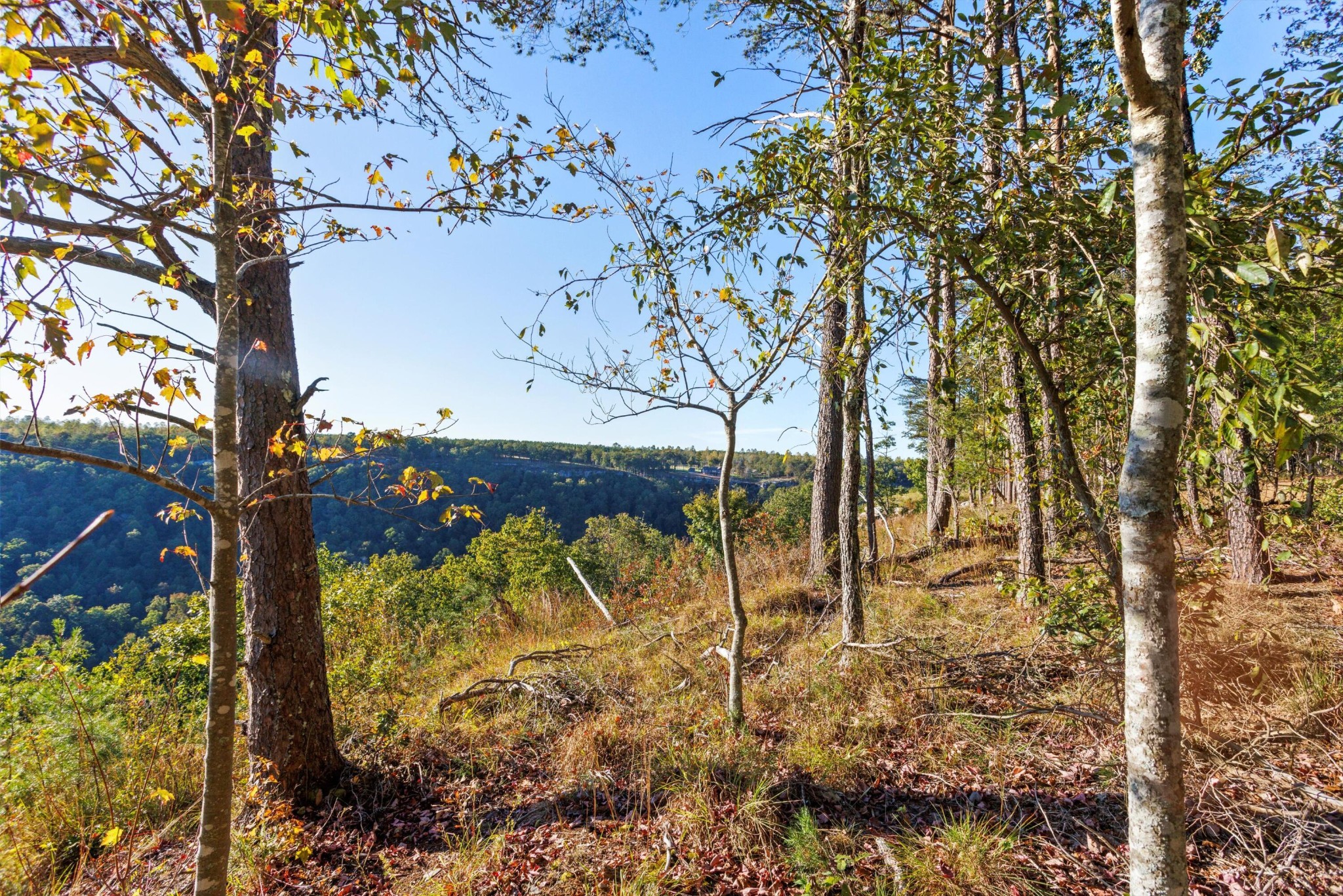 0 Raulston Falls Road