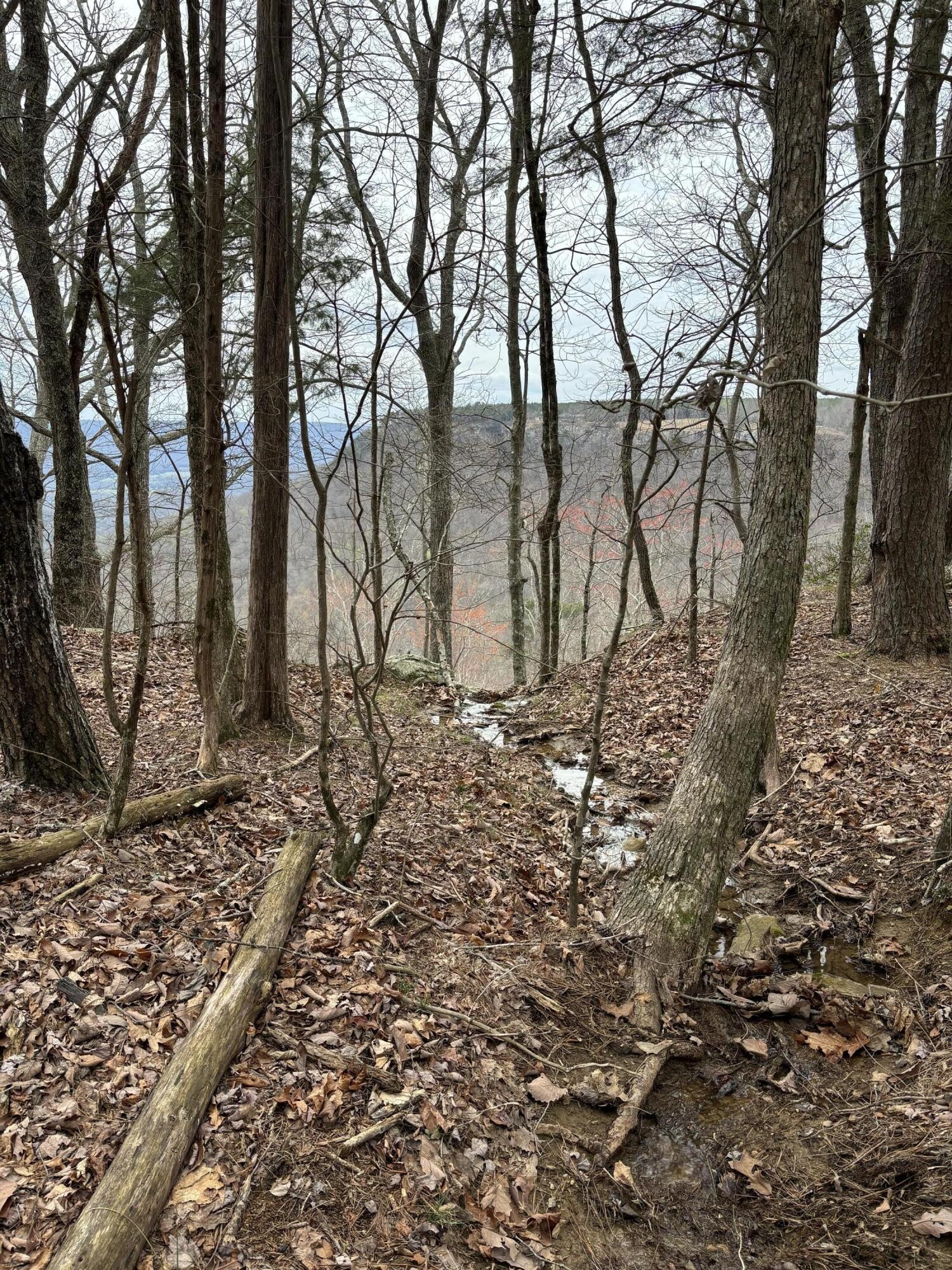 0 Raulston Falls Road