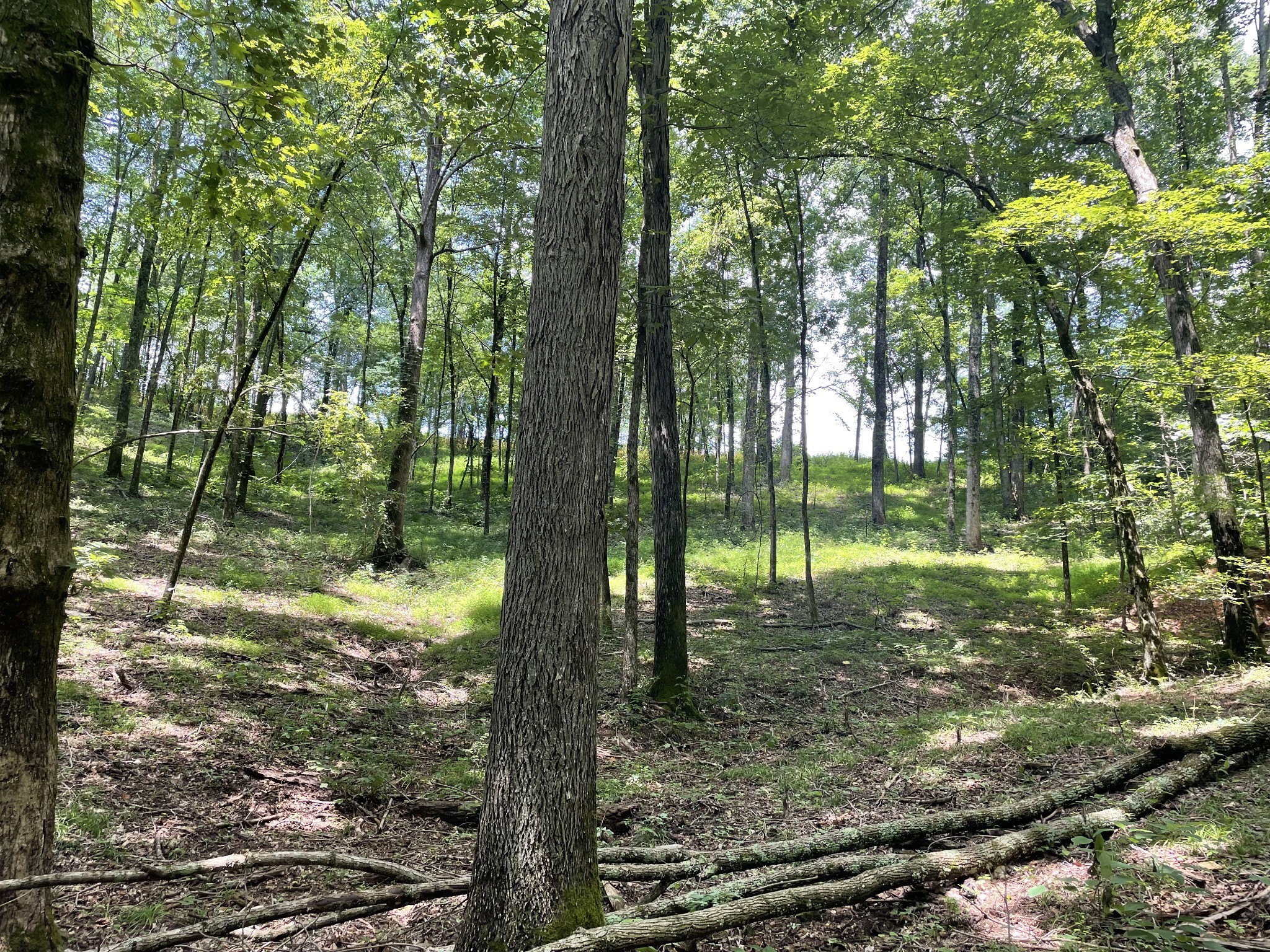 0 Boston Theta Rd