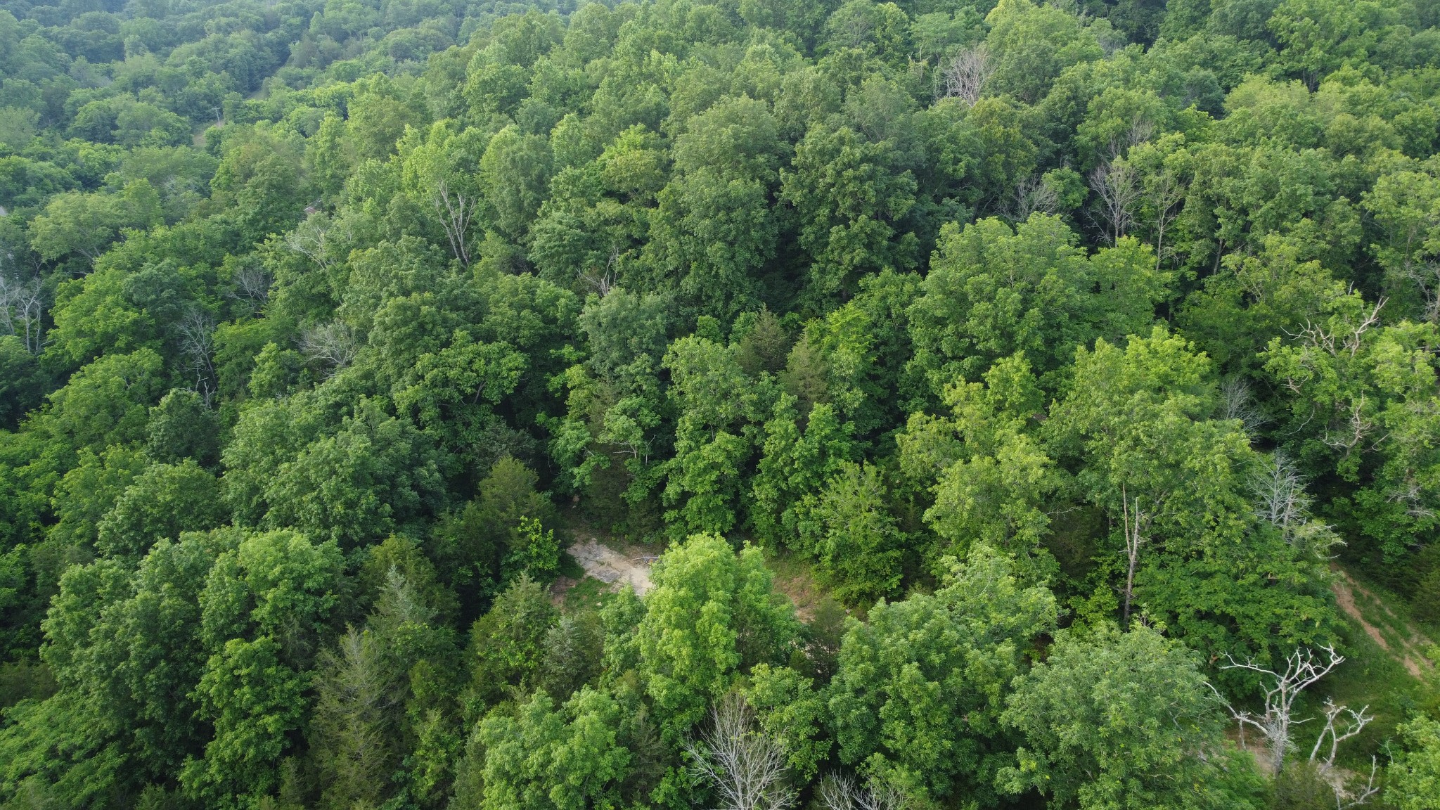 738 Rogues Fork Rd