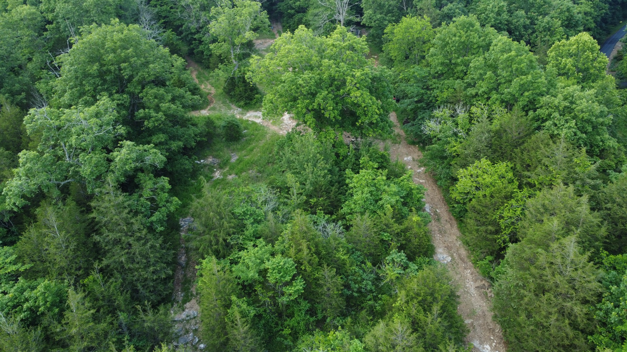 738 Rogues Fork Rd