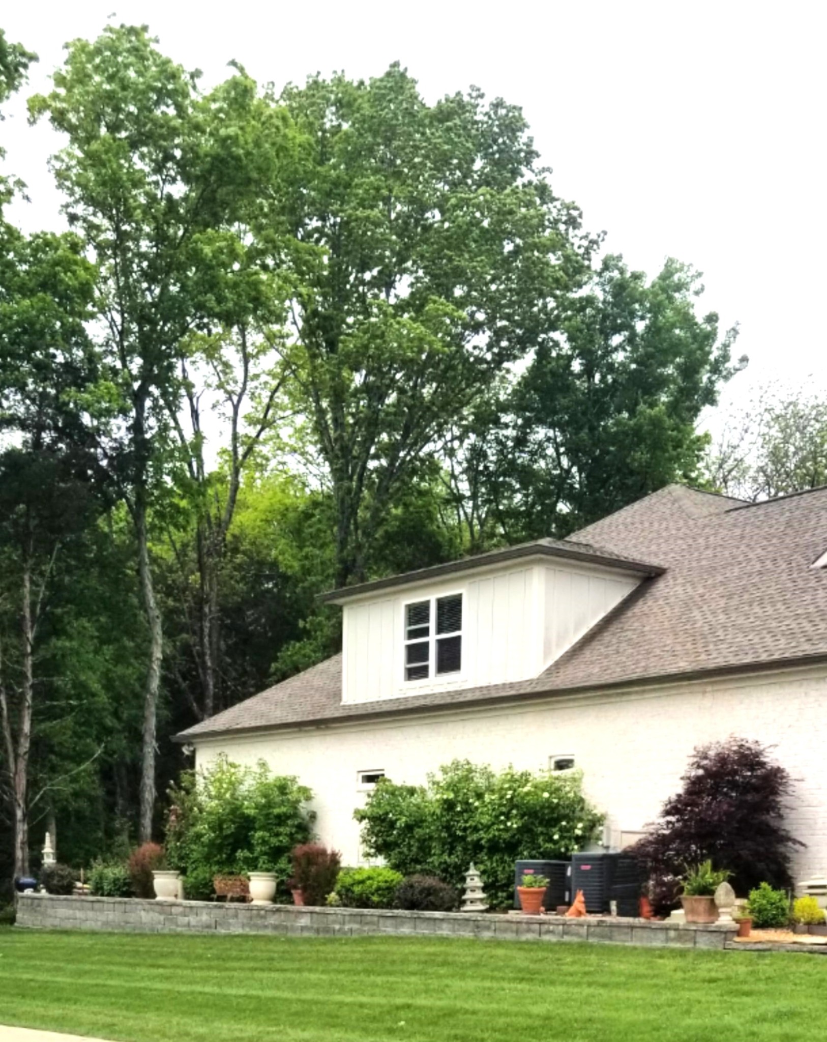 501 Wright Branch Cv