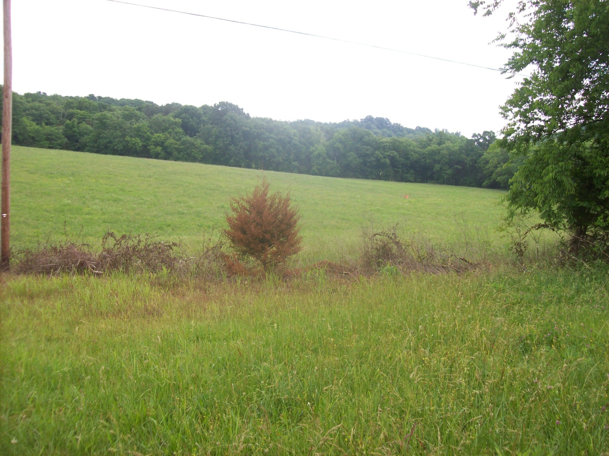 Middle Tennessee Properties 2 0 HWY 130 E