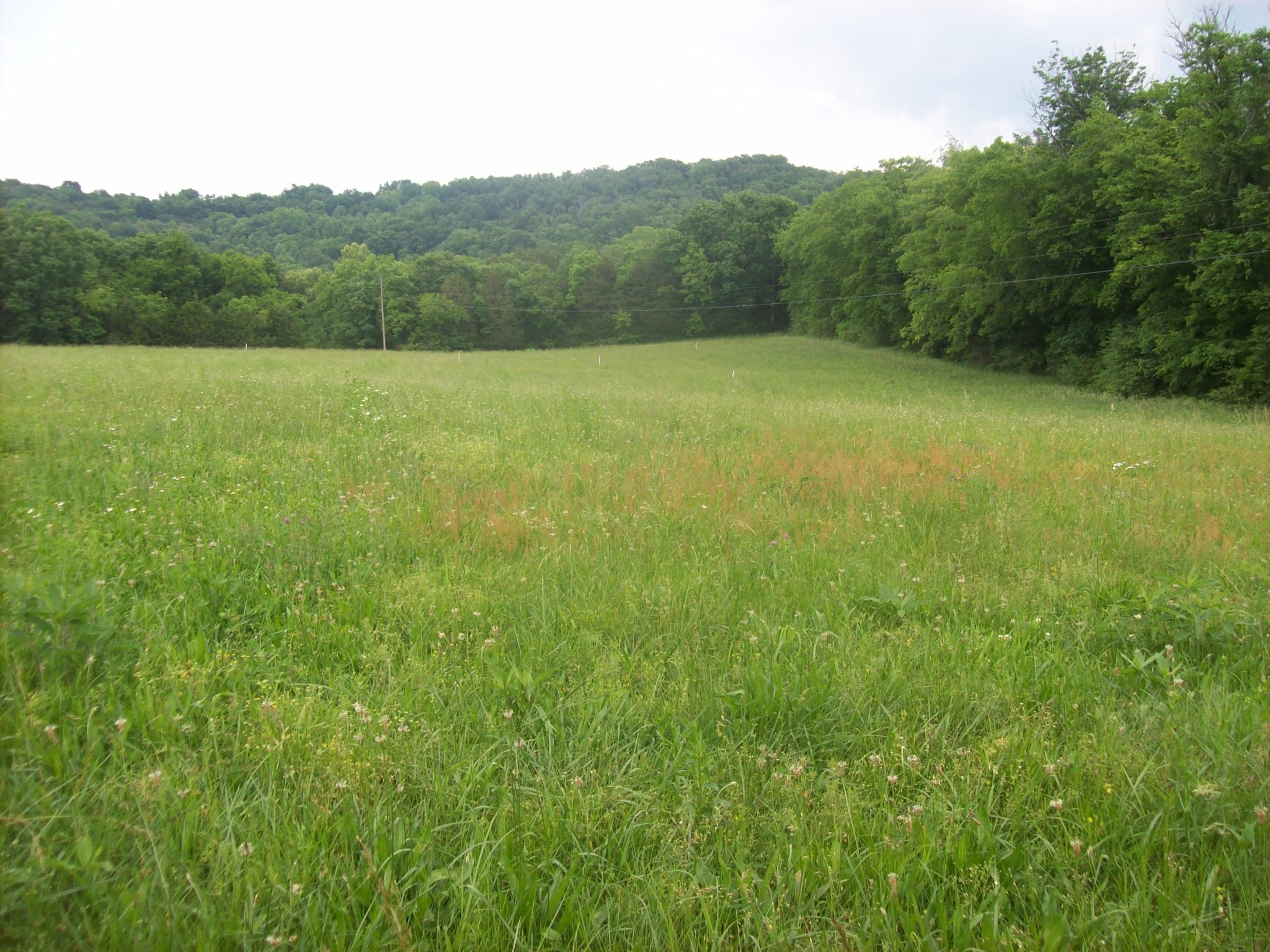 Middle Tennessee Properties 3 0 HWY 130 E