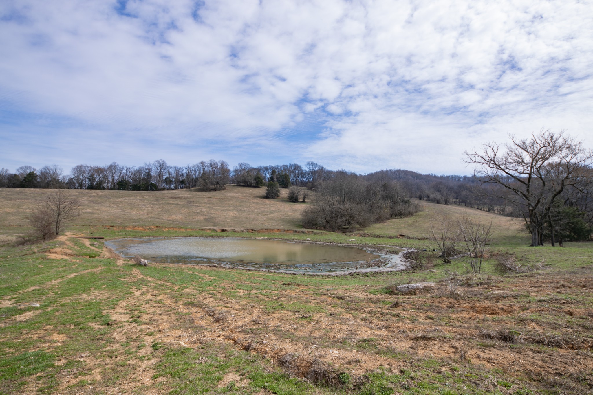 1771 Cornersville Hwy