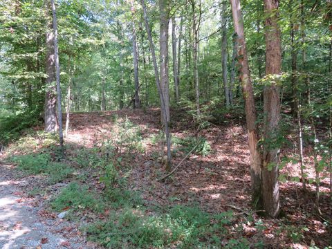 Photo of 0 Bugg Hollow Rd, Gallatin, TN 37066 (MLS # 3184481)