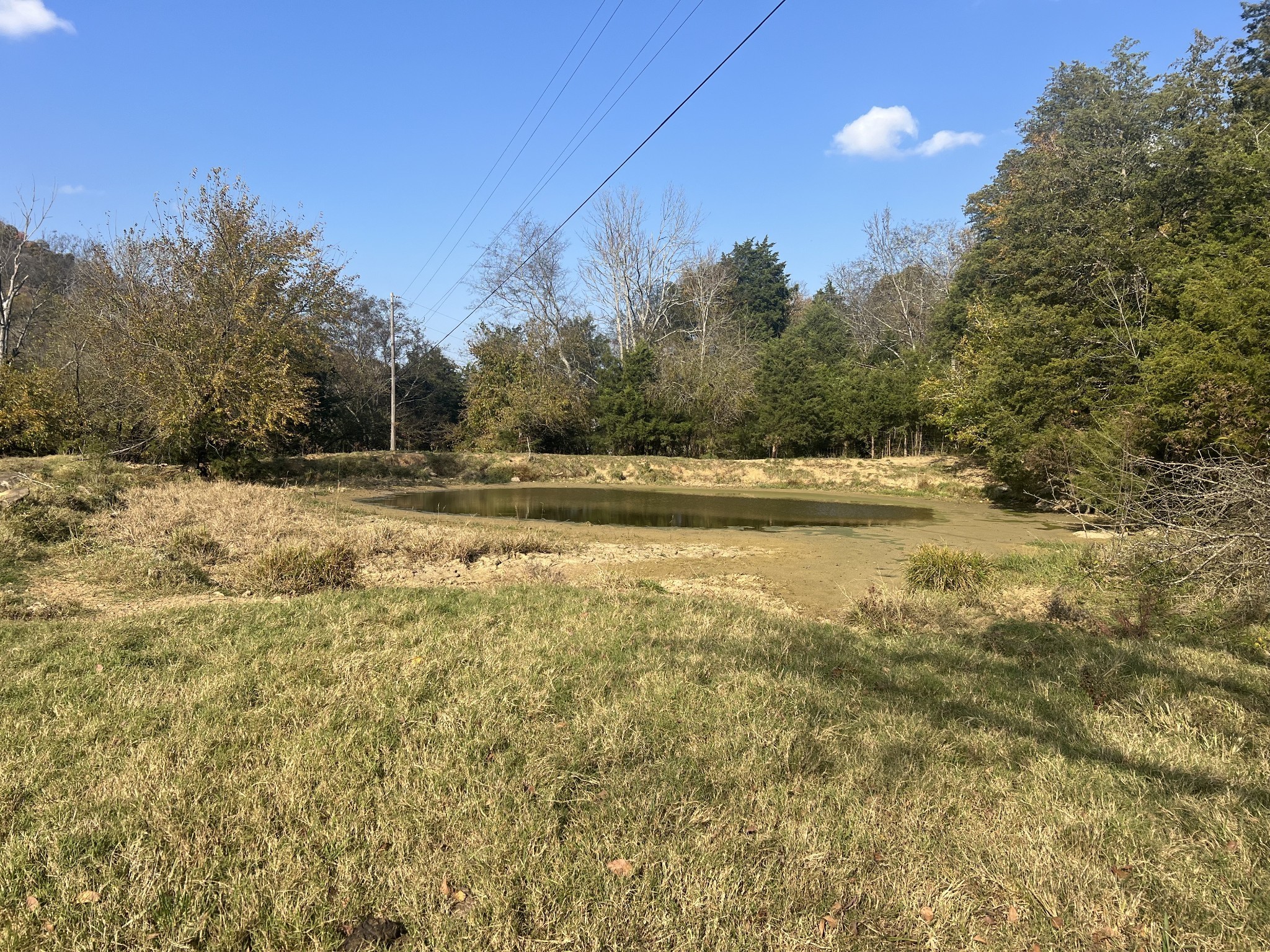775 Scanty Branch Rd