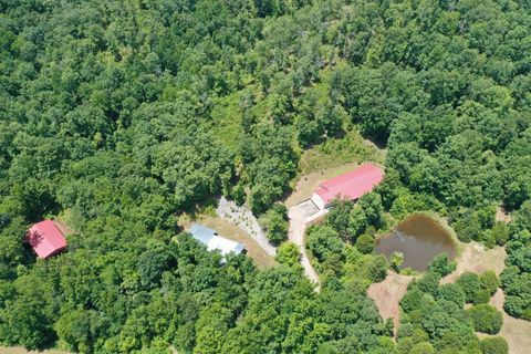 1582 Hellsneck Ln Waverly TN 37185