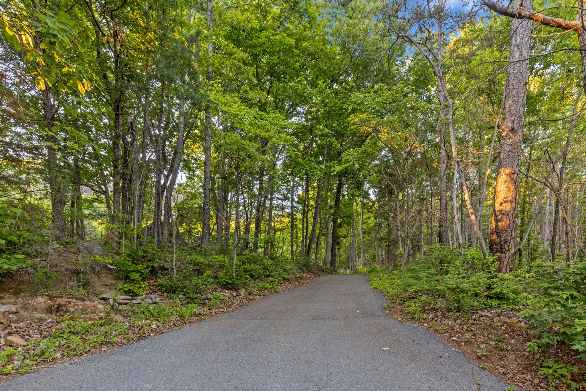 748 Woodcock Road