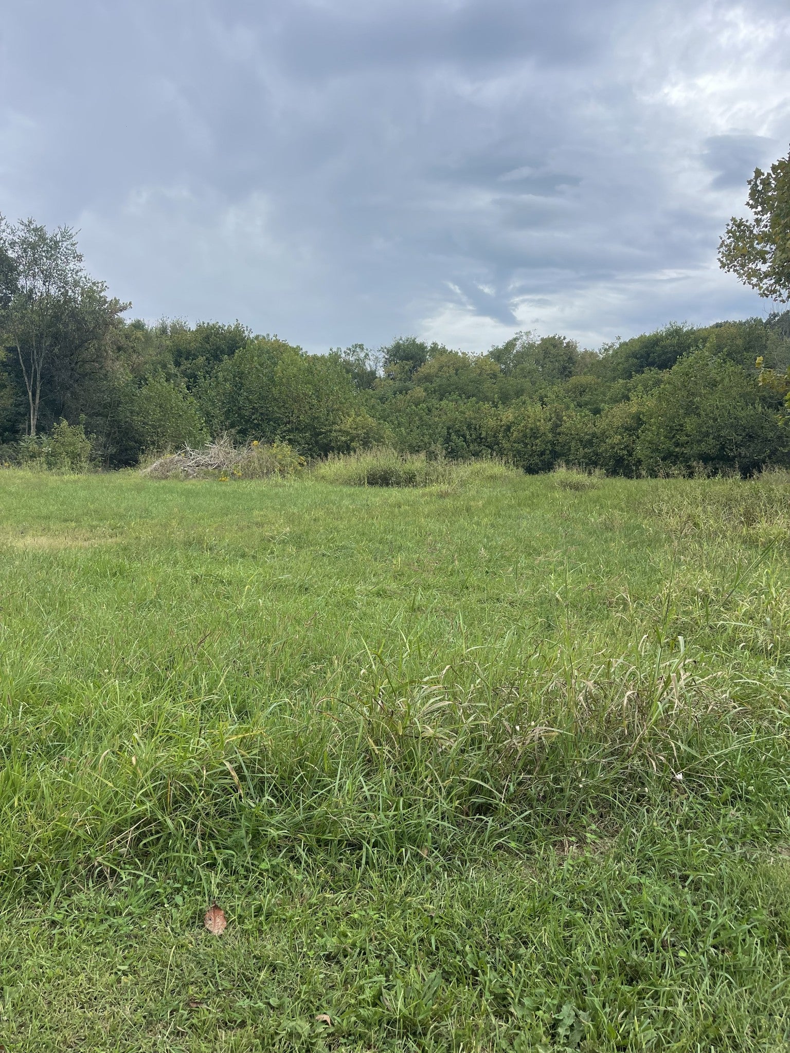 17366 Clay County Hwy