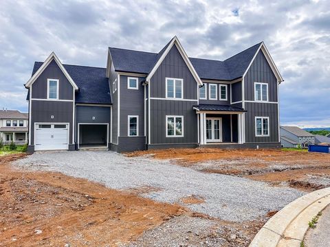 3038 Lilybelle Ct Arrington TN 37014